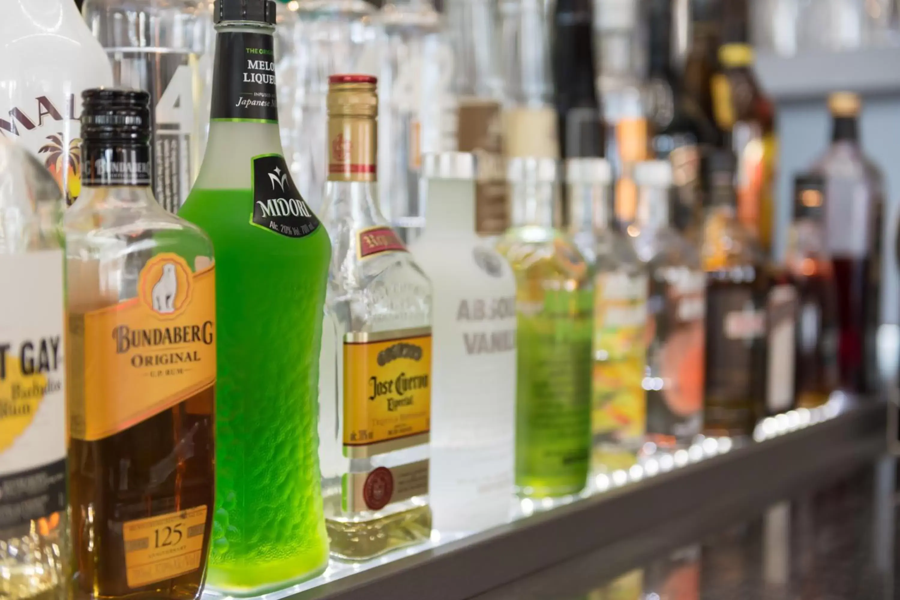 Lounge or bar in Kingsgate Hotel Autolodge Paihia Lounge or bar in Kingsgate Hotel Autolodge Paihia