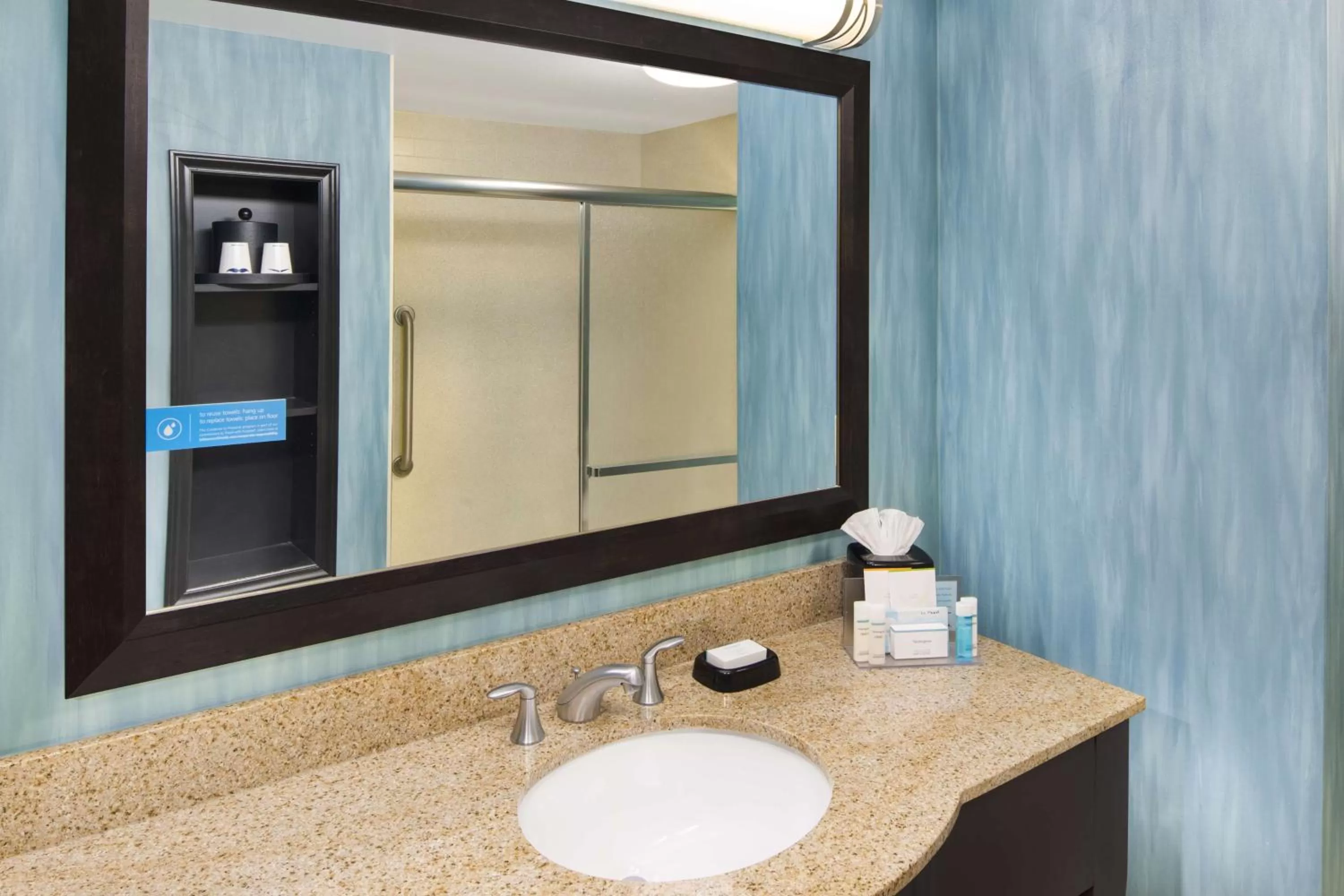 Bathroom in Hampton Inn Columbia I-20-Clemson Road