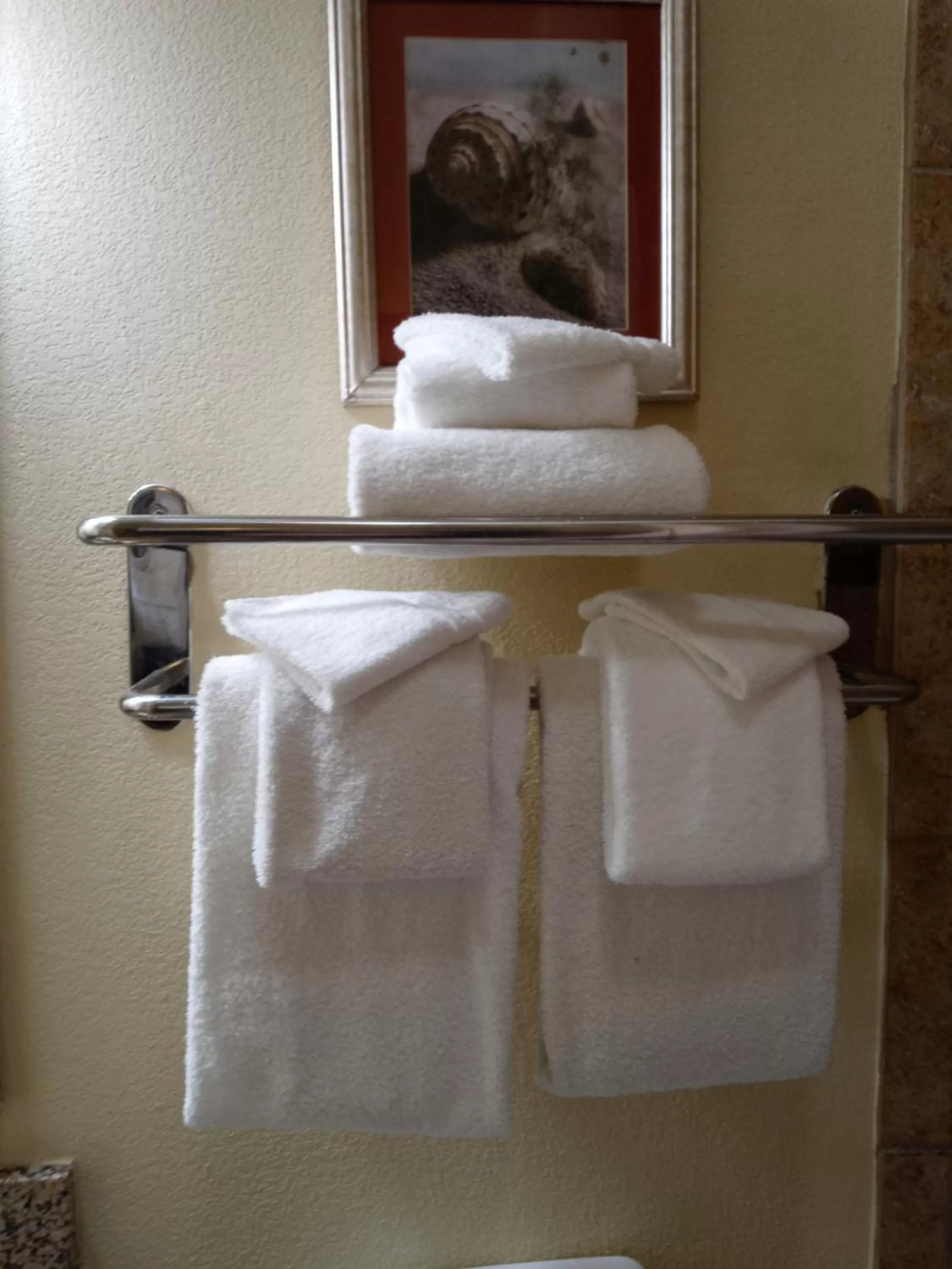 Hawthorn Extended Stay by Wyndham Corpus Christi Padre Isle