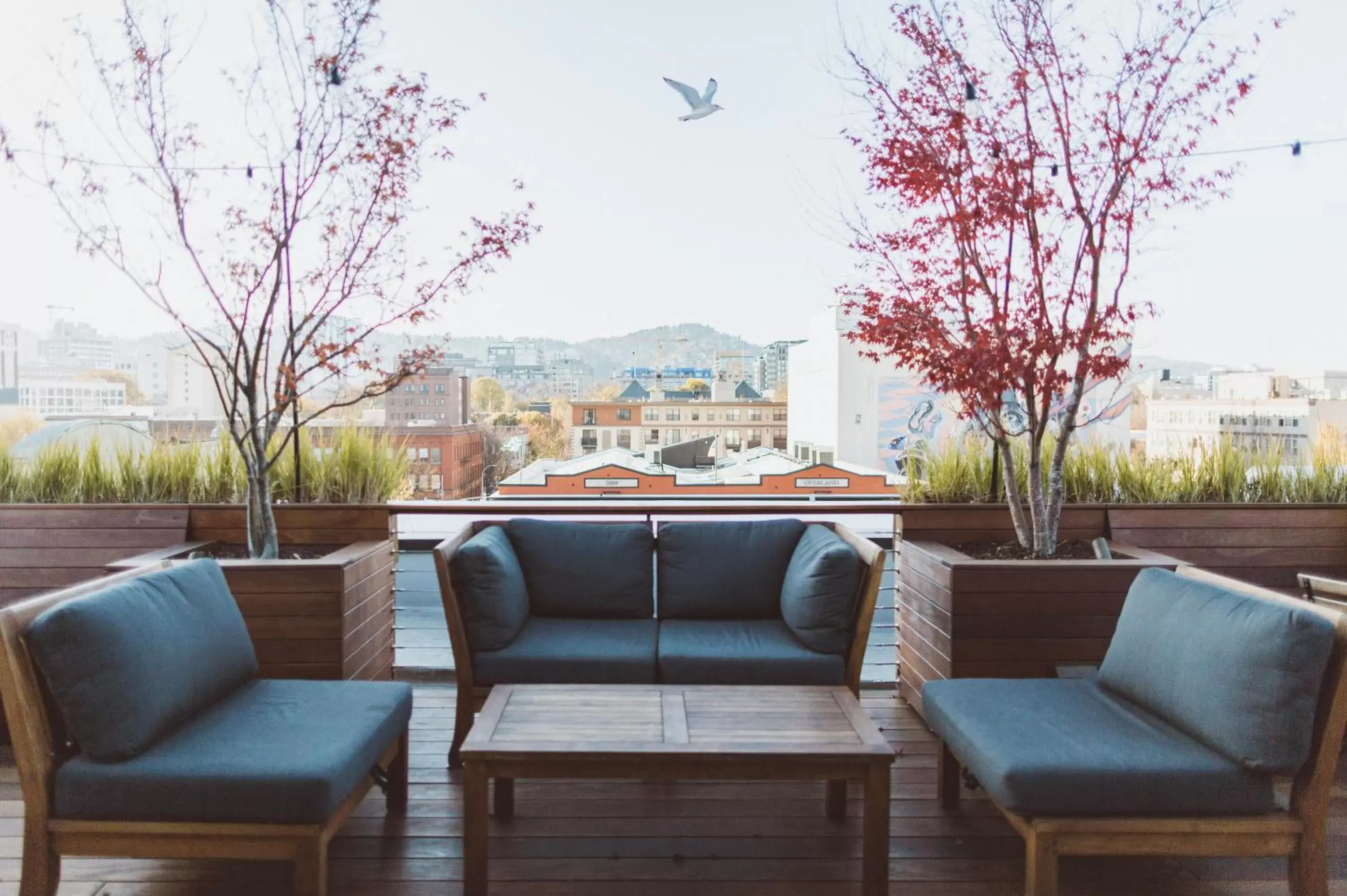 Patio in The Society Hotel