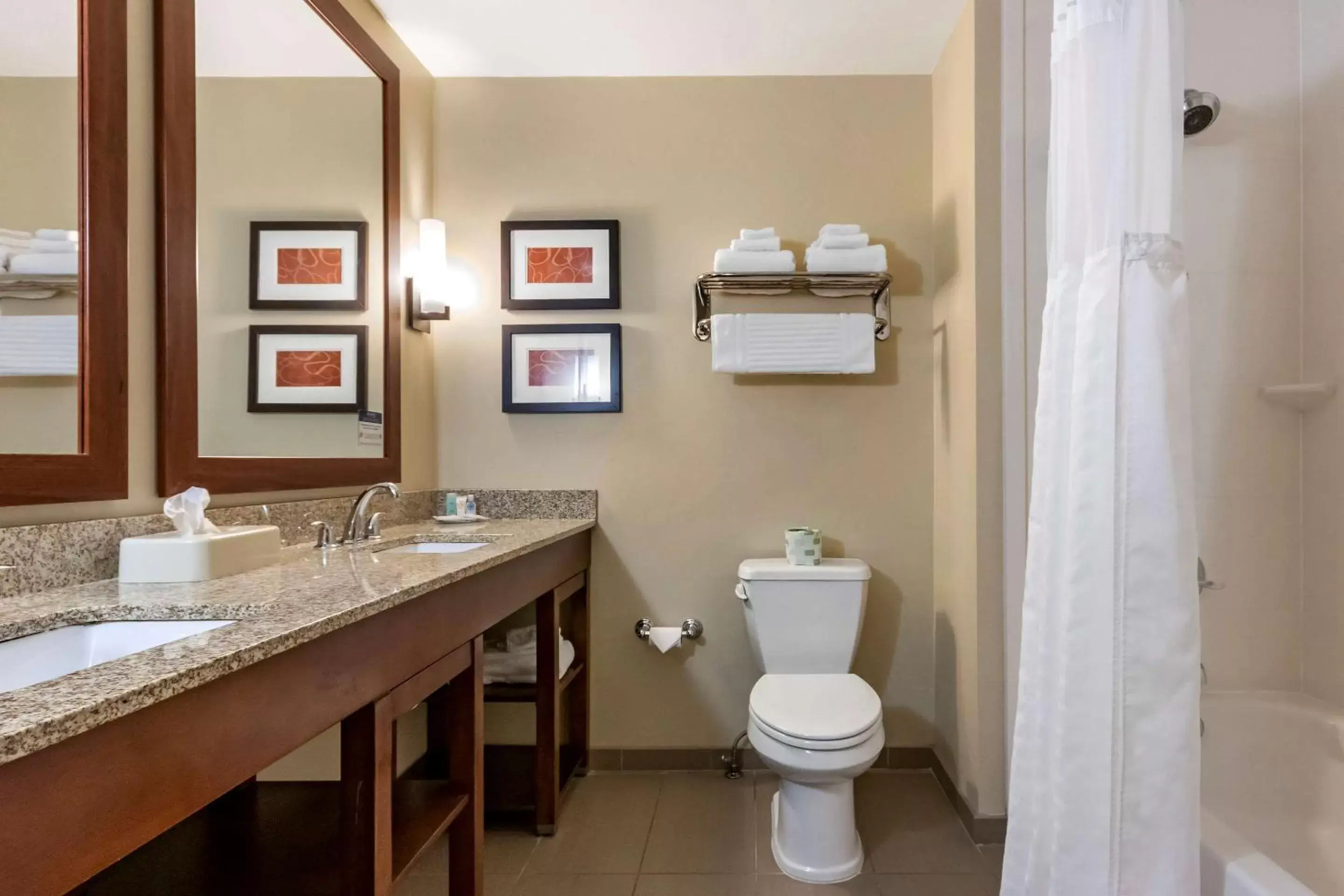 Bathroom in Comfort Suites Airport-University