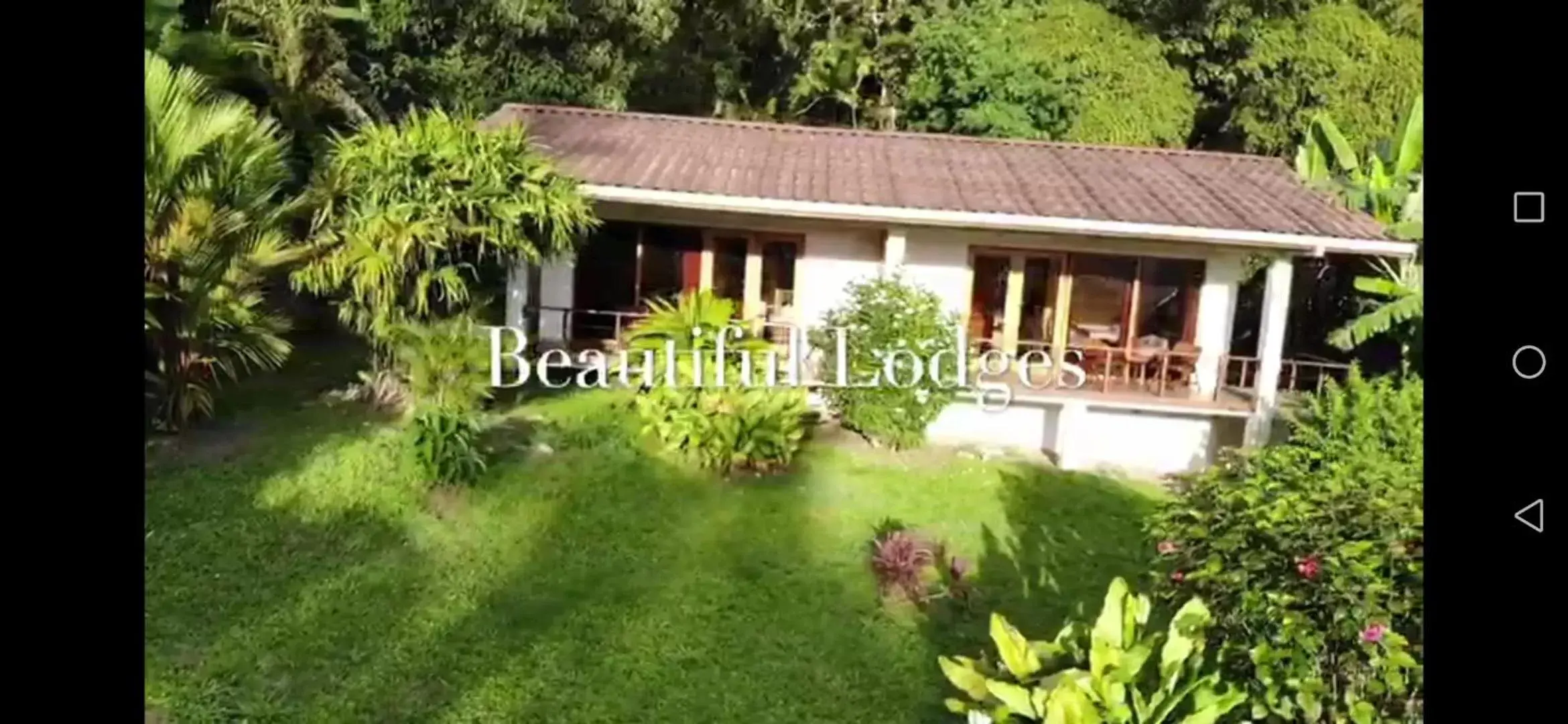 Patio in La Ceiba Tree Lodge