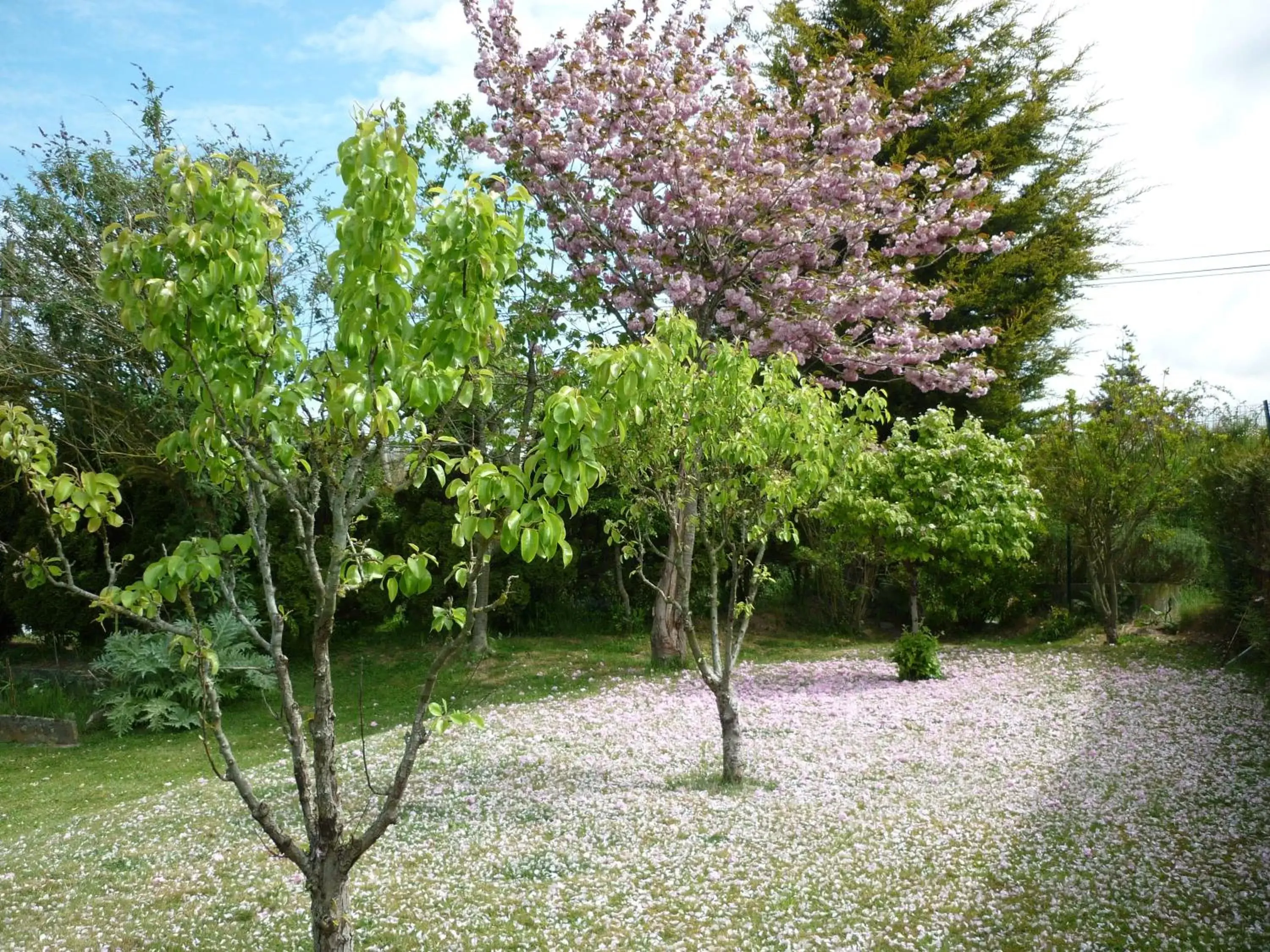 Facade/entrance, Garden in La Parisière