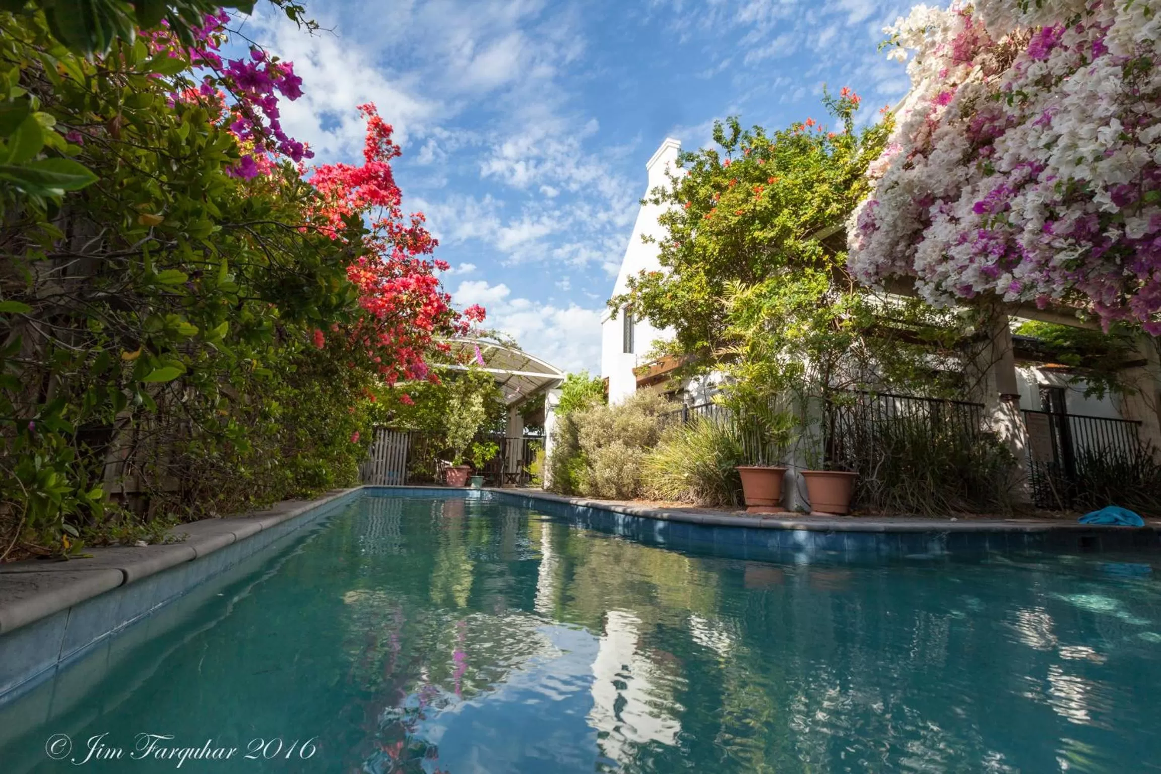 Swimming pool in Aarn House B&B Airport Accommodation