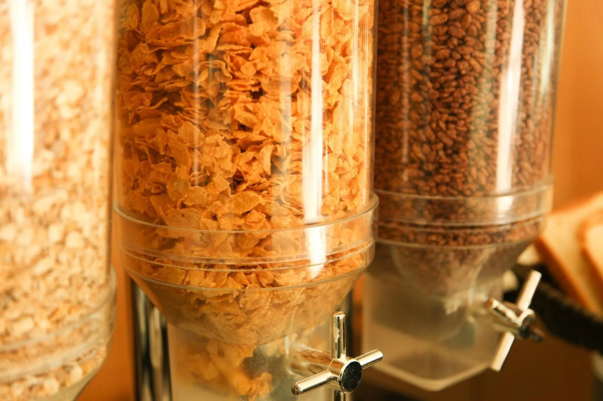 Food close-up in Ibis Alcala de Henares La Garena