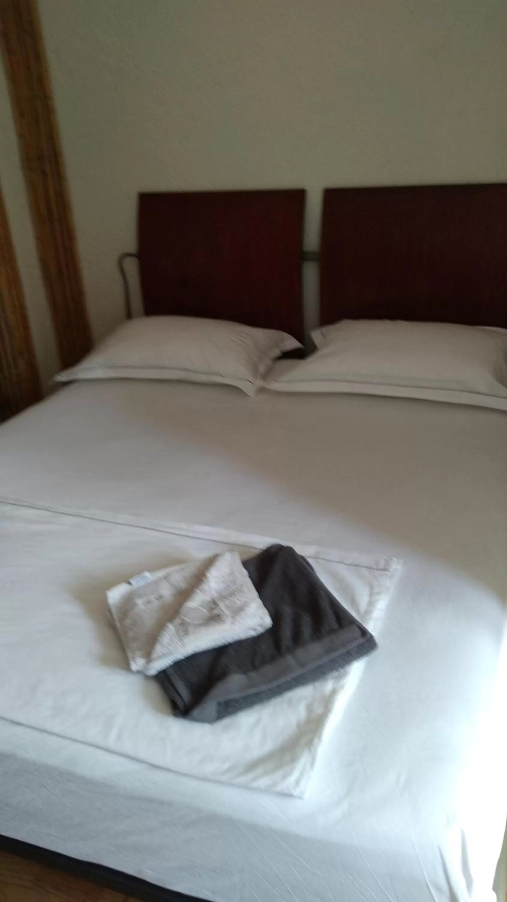 Maxola's Dream Orikum