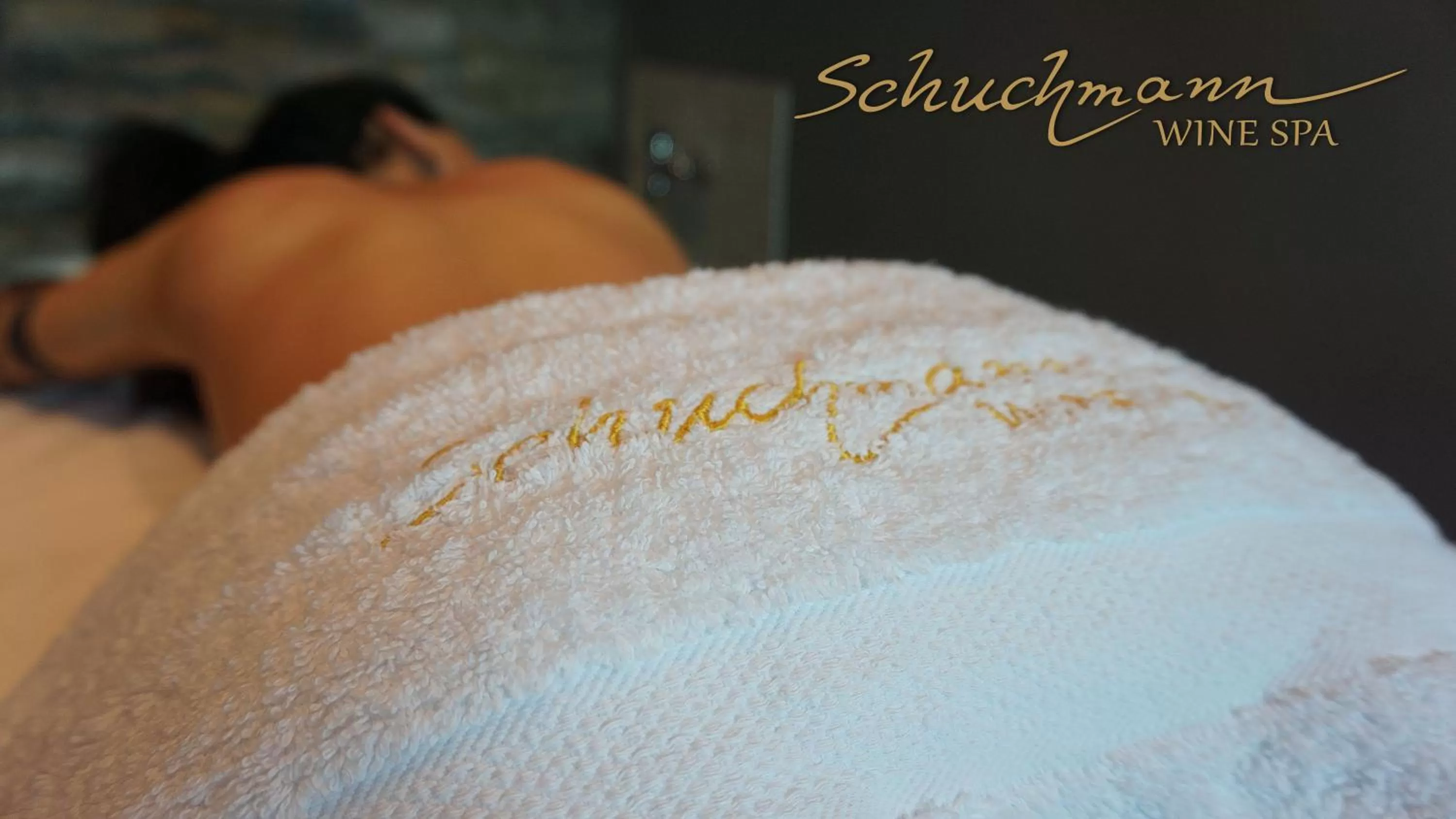 Spa and wellness centre/facilities in Schuchmann Wines Château,Villas & SPA