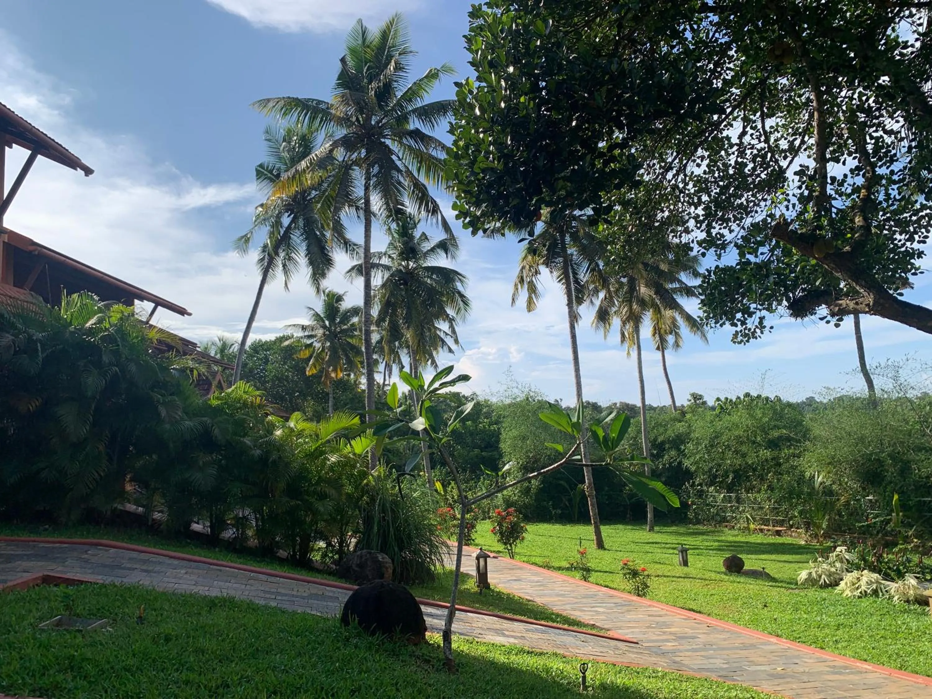 Garden in AMARA AYURVEDA RETREAT- Overlooking Evergreen Western Ghats an ecologically sustainable living space in Kovalam