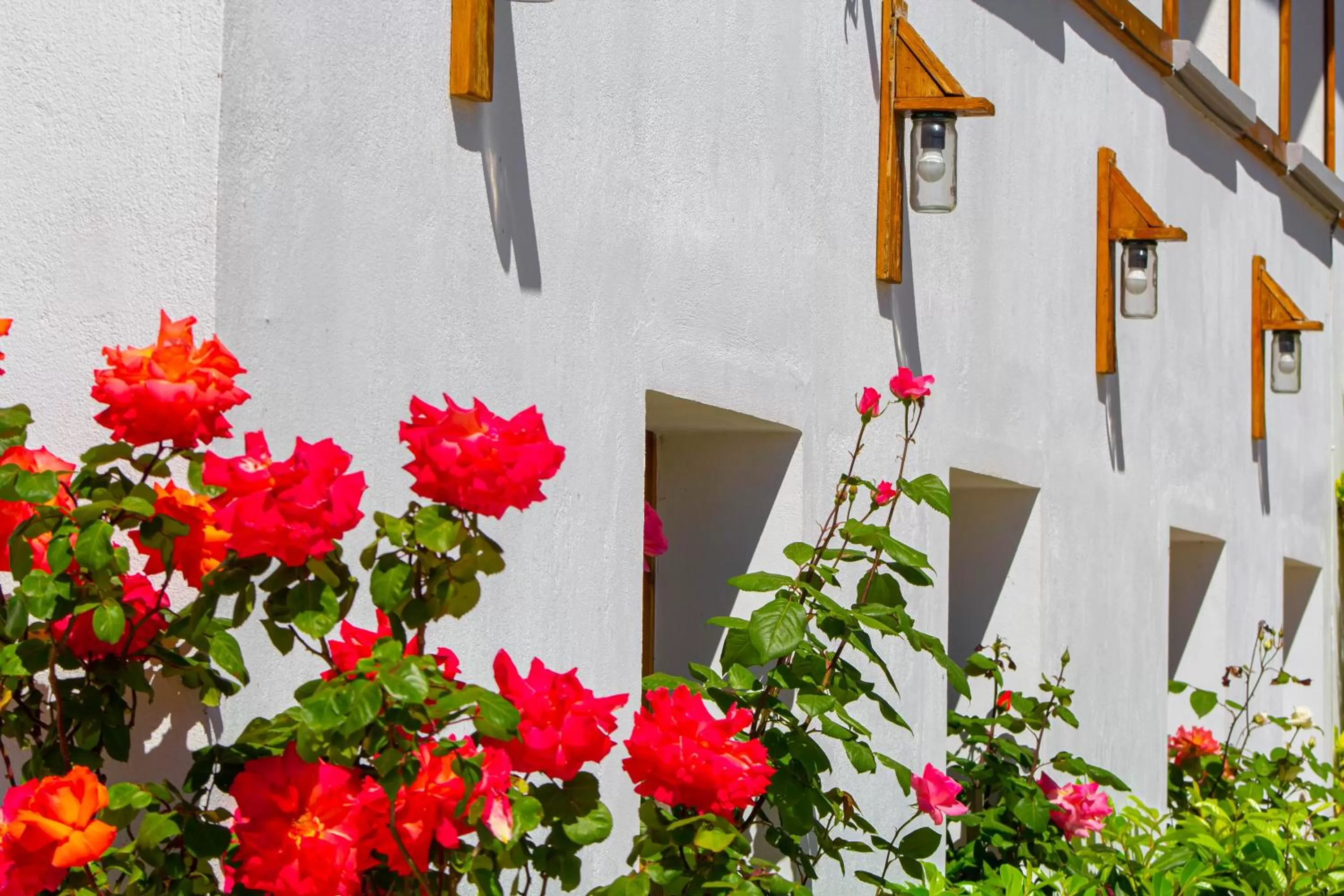 Hotel Bebej Tradicional