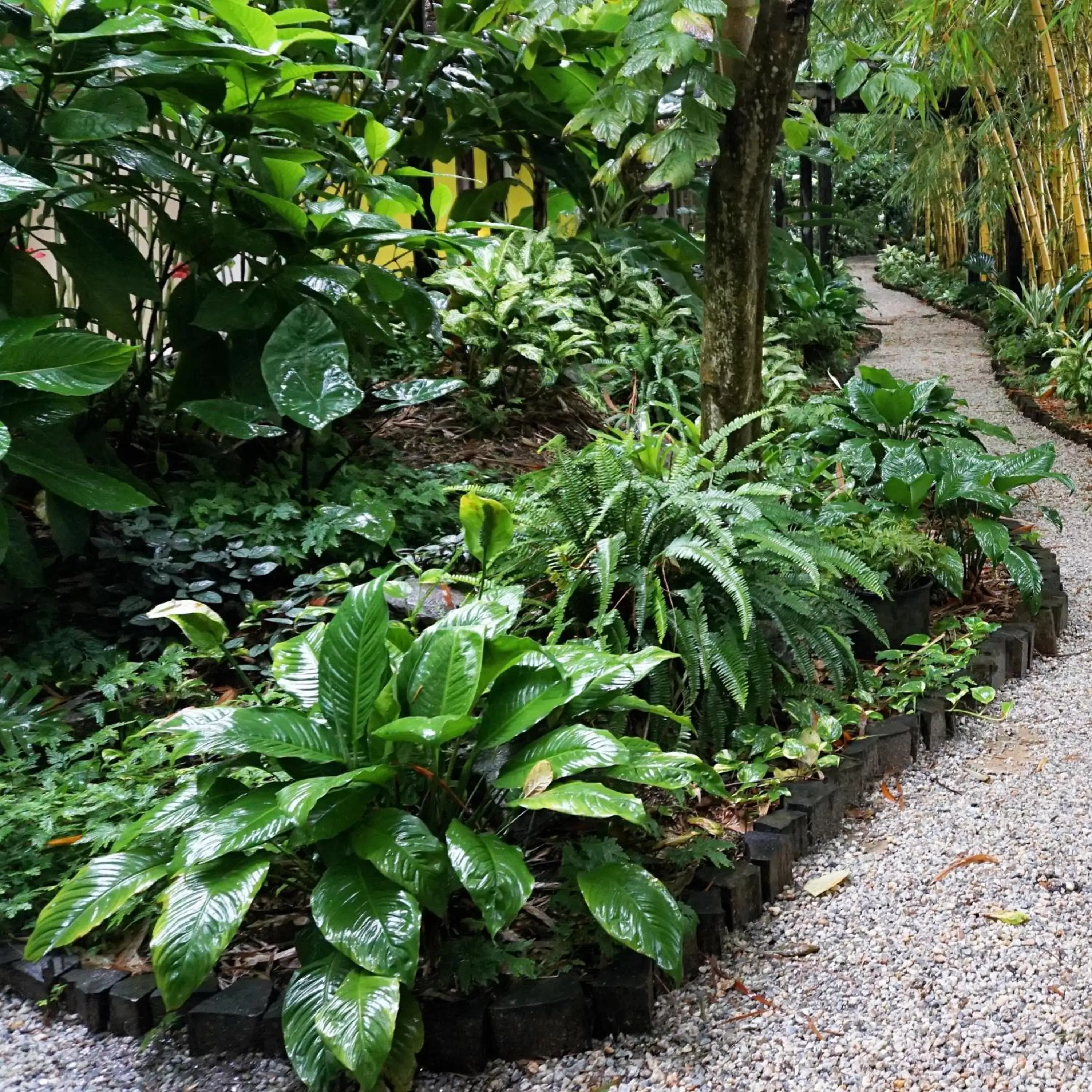 Day, Garden in Jacana Amazon Wellness Resort