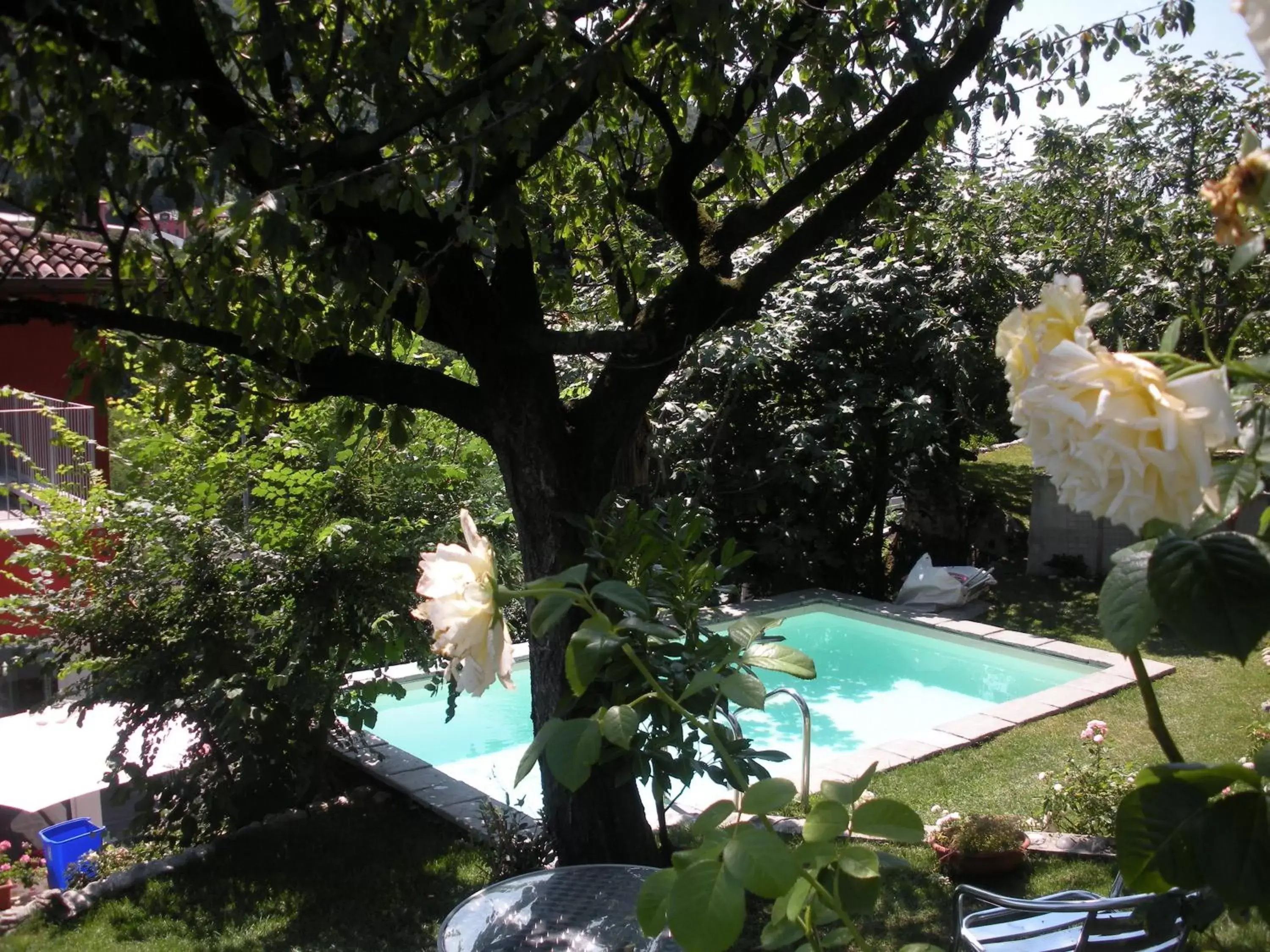 Garden, Swimming Pool in B&B Casa Cantoniera