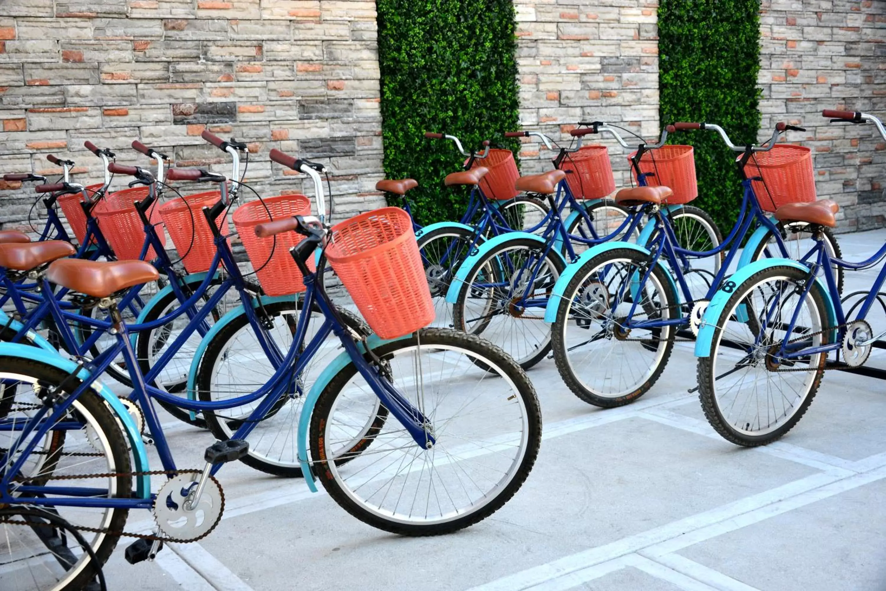 Cycling, Biking in Elements Tulum Boutique Hotel