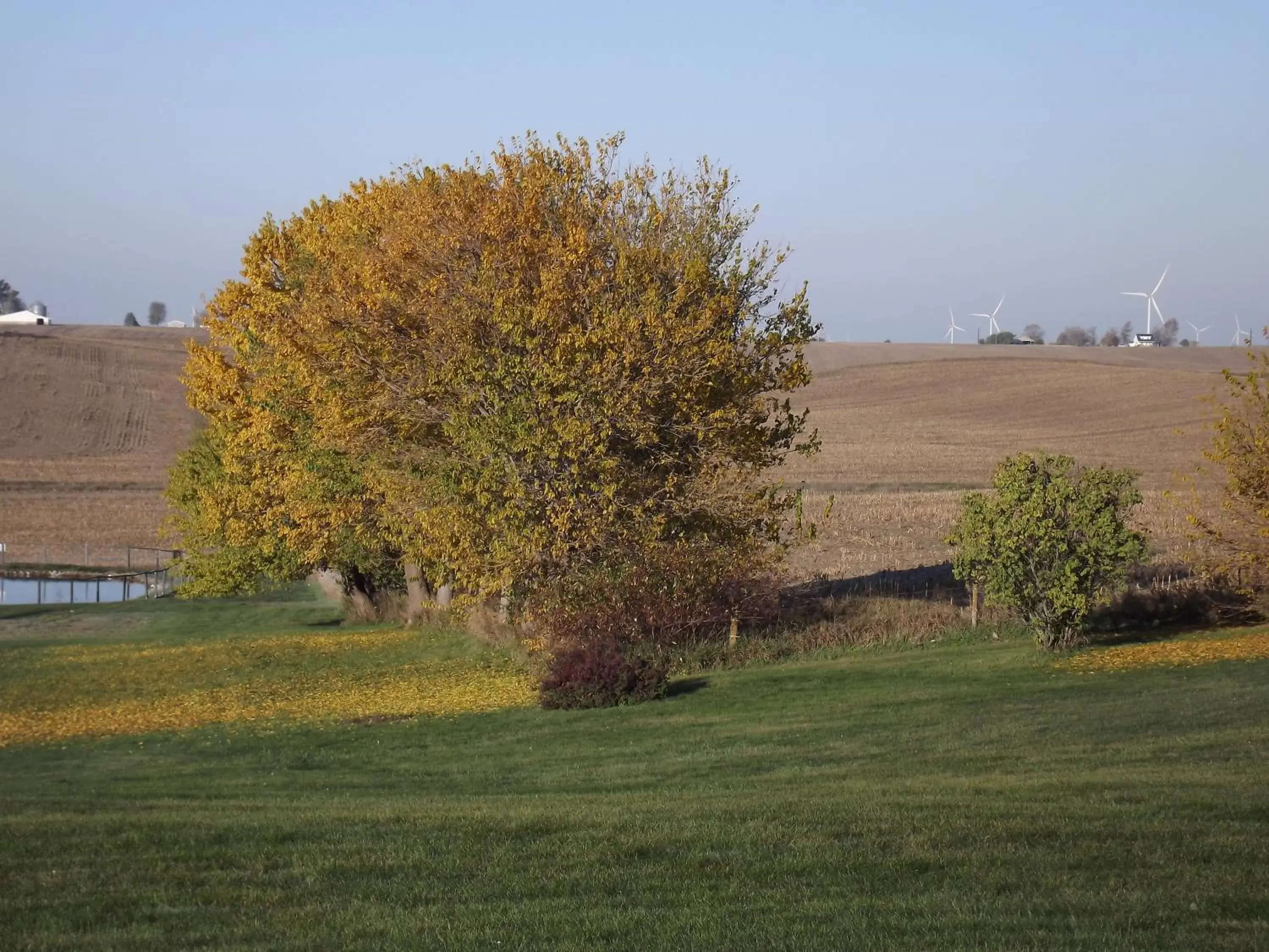 View (from property/room) in Crest Country Inn