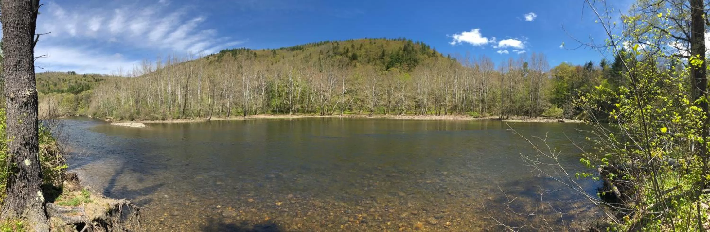 Natural landscape in The Lodge at West River