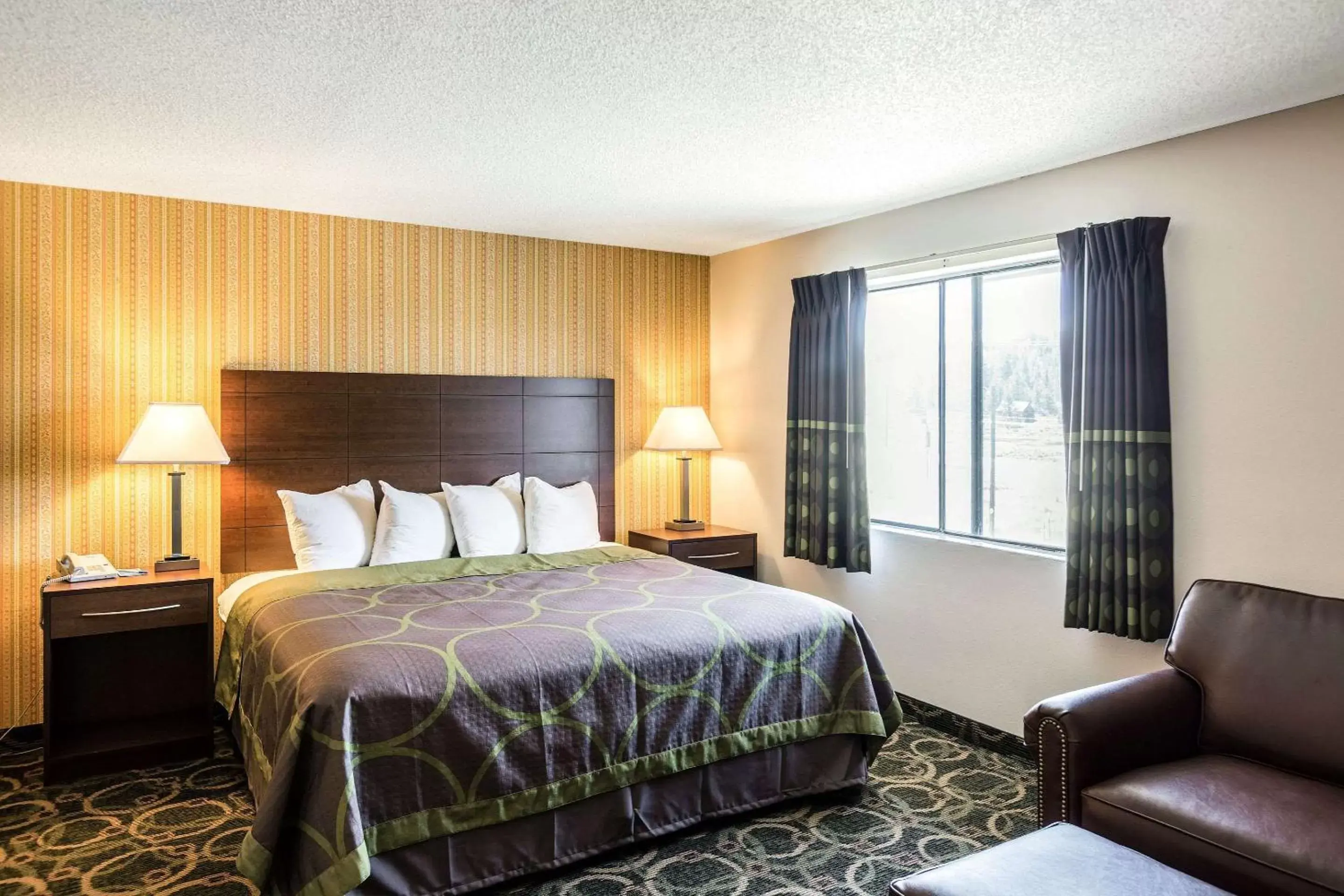 Photo of the whole room, Bed in Rodeway Inn Leadville