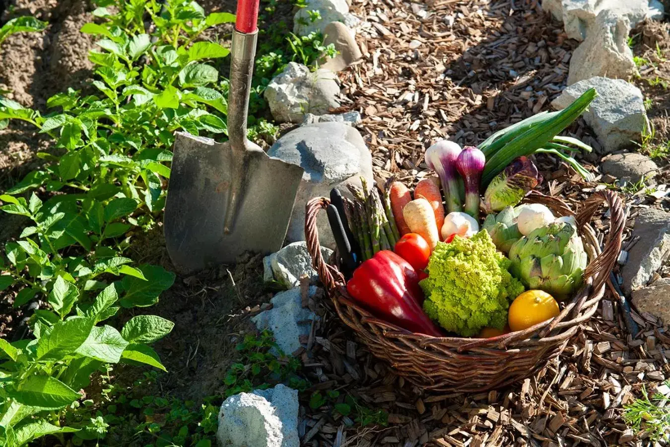 Garden, Food in Benbow Historic Inn