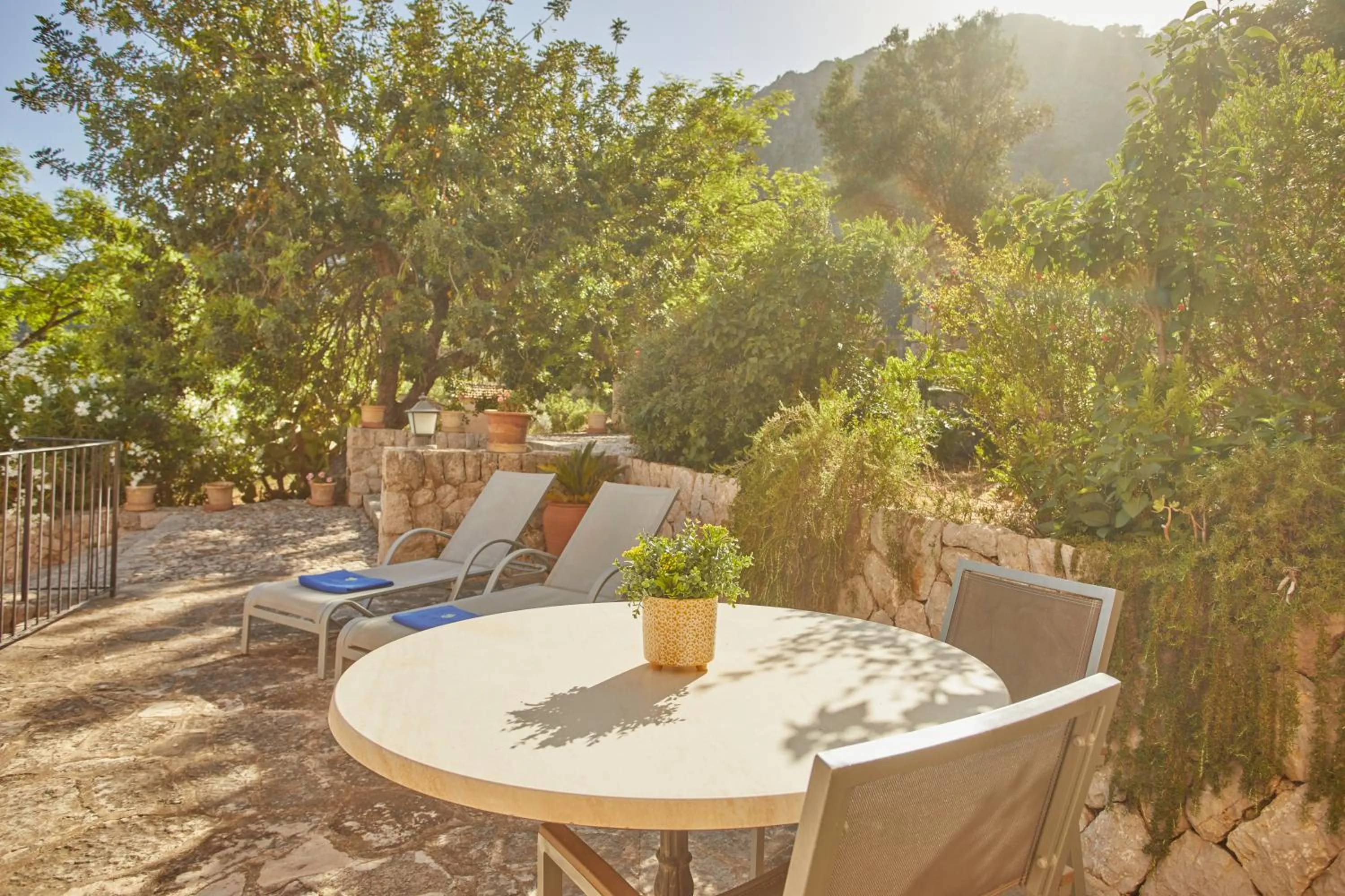 Balcony/Terrace in Agroturismo Alquería Blanca
