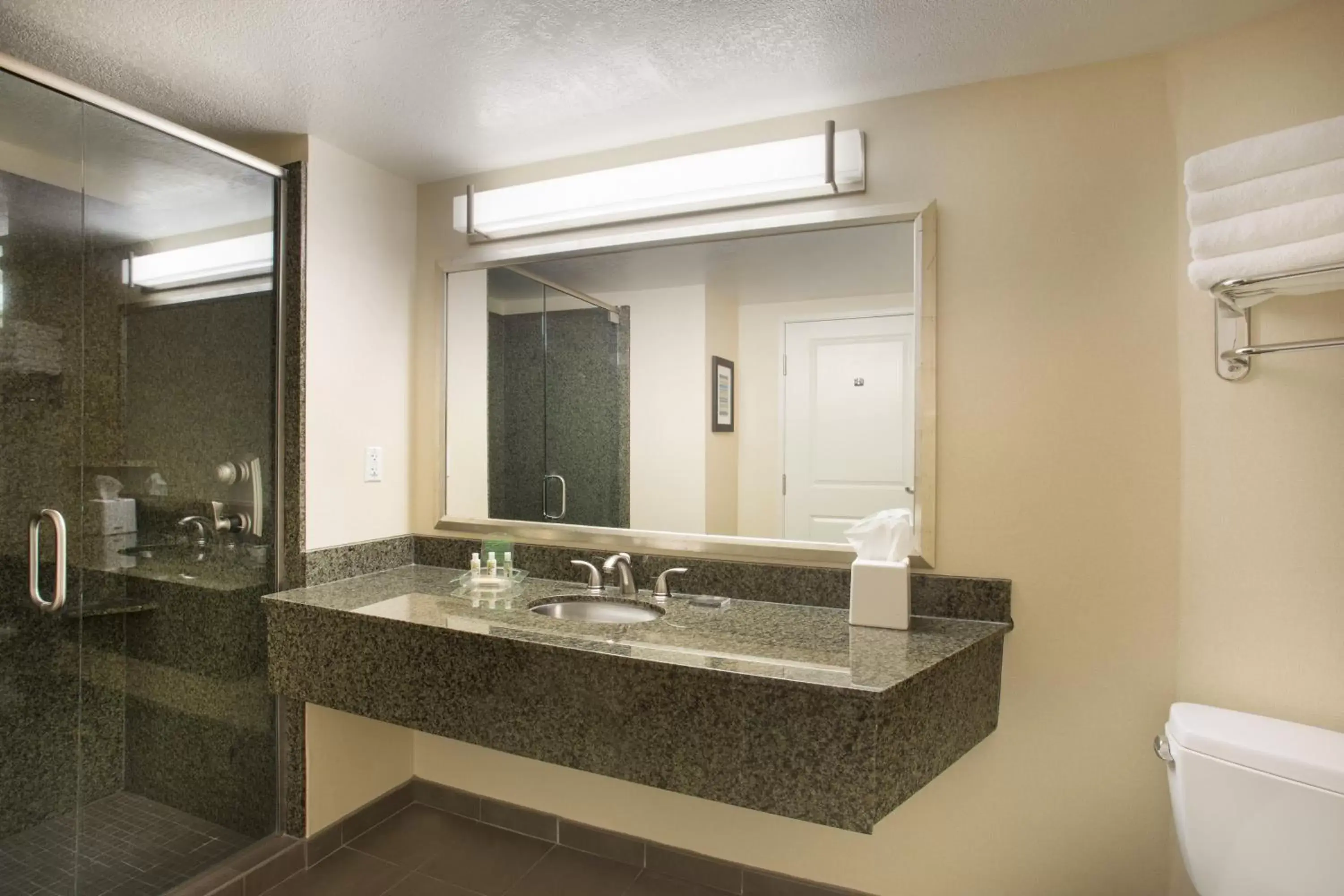 Photo of the whole room, Bathroom in Holiday Inn Scottsdale North- Airpark, an IHG Hotel