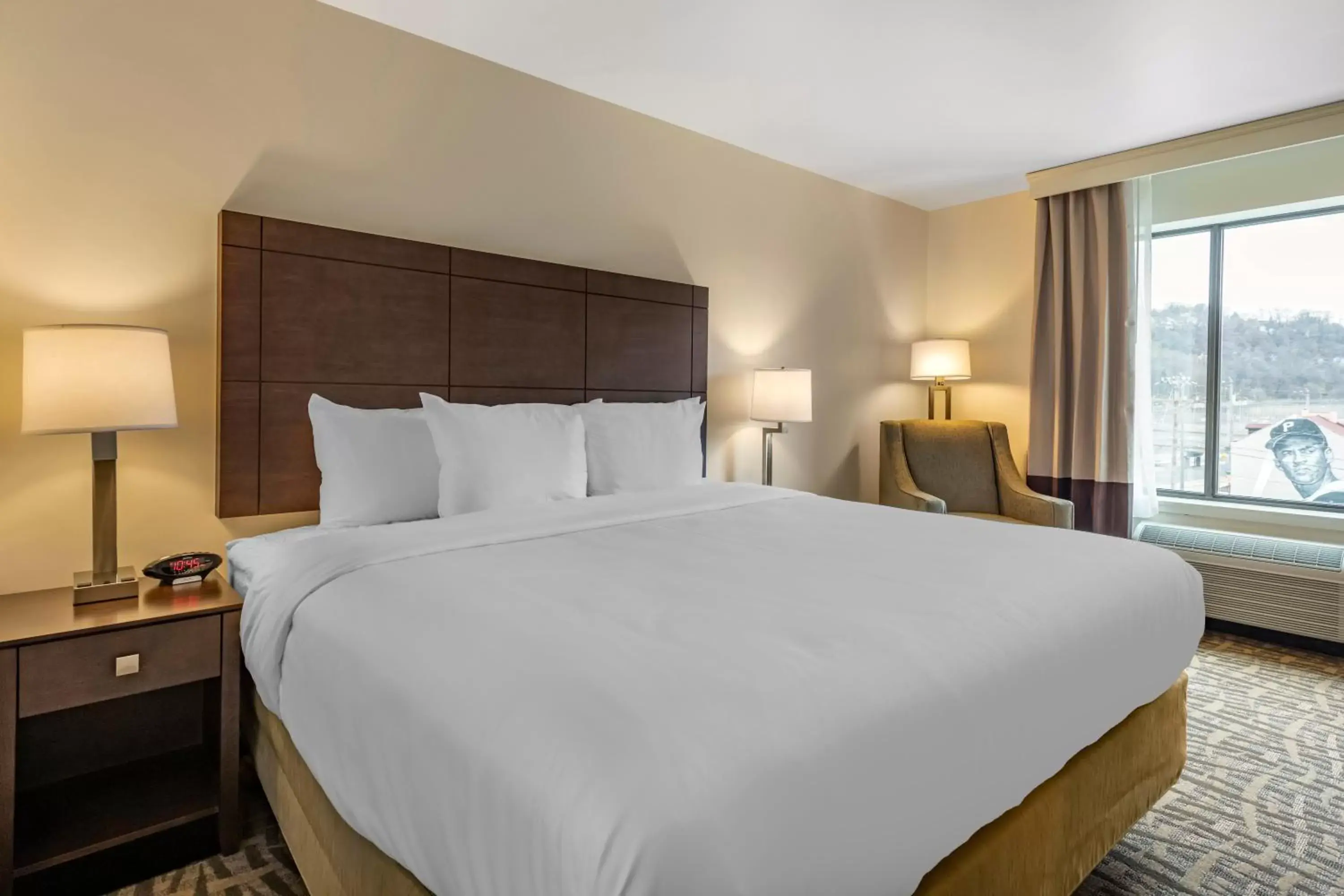 Standard King Room - Non-Smoking  in Comfort Inn & Suites Pittsburgh-Northshore