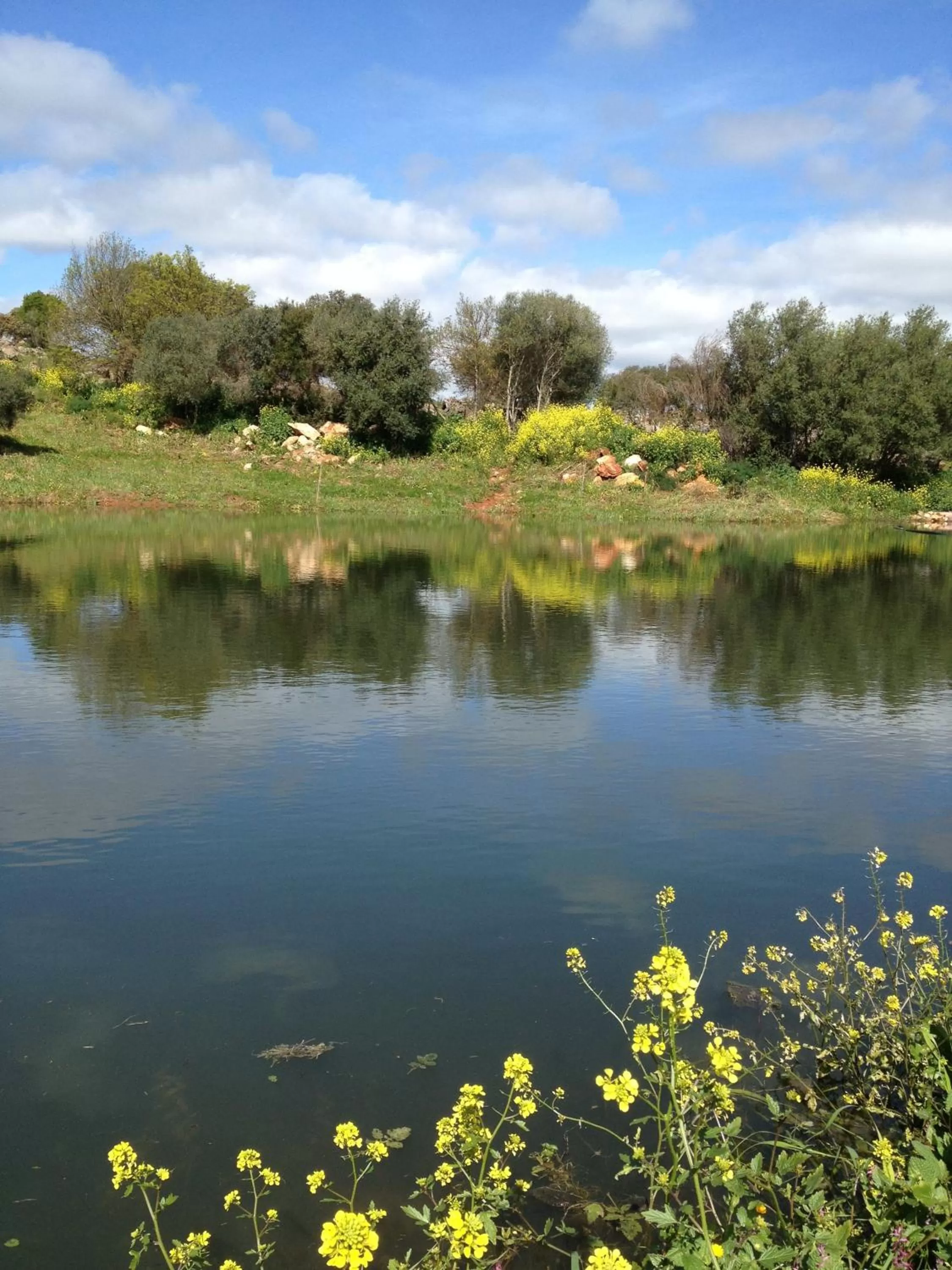 Facade/entrance in Hotel Rural Monte da Provença