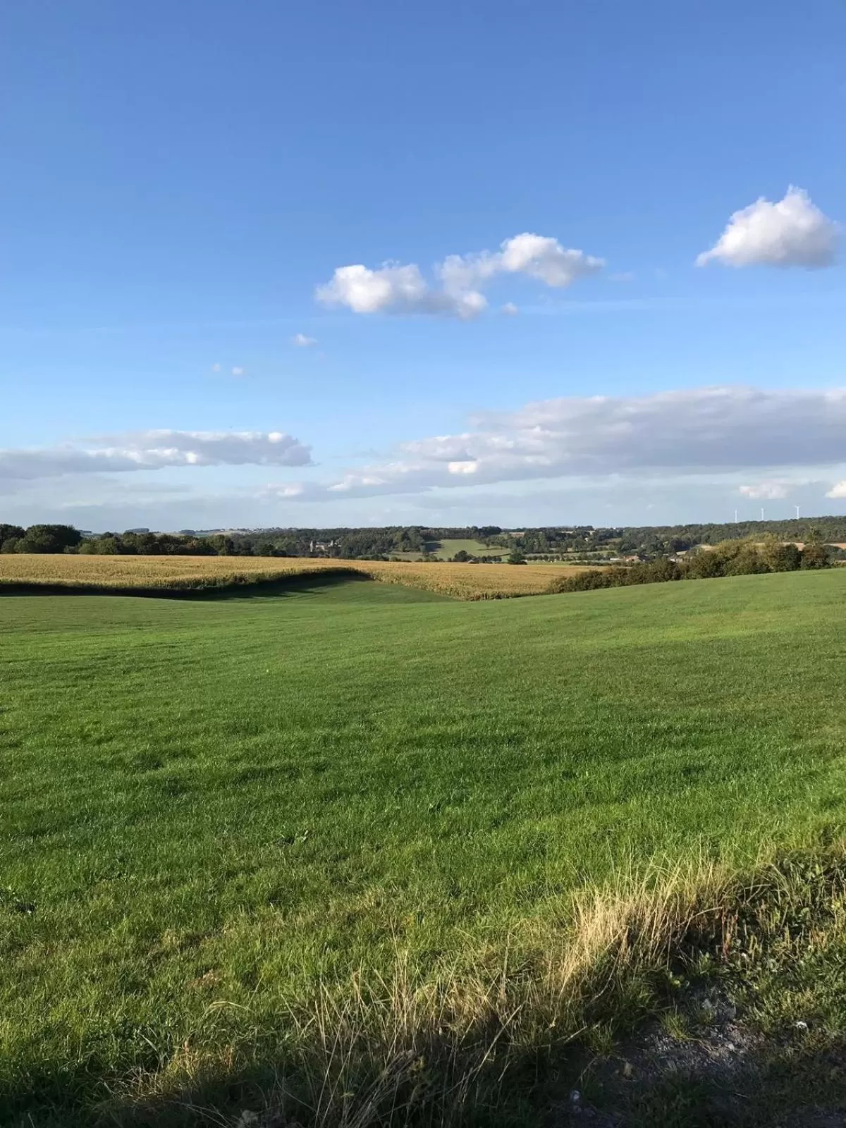 Natural landscape in B&B Holset70