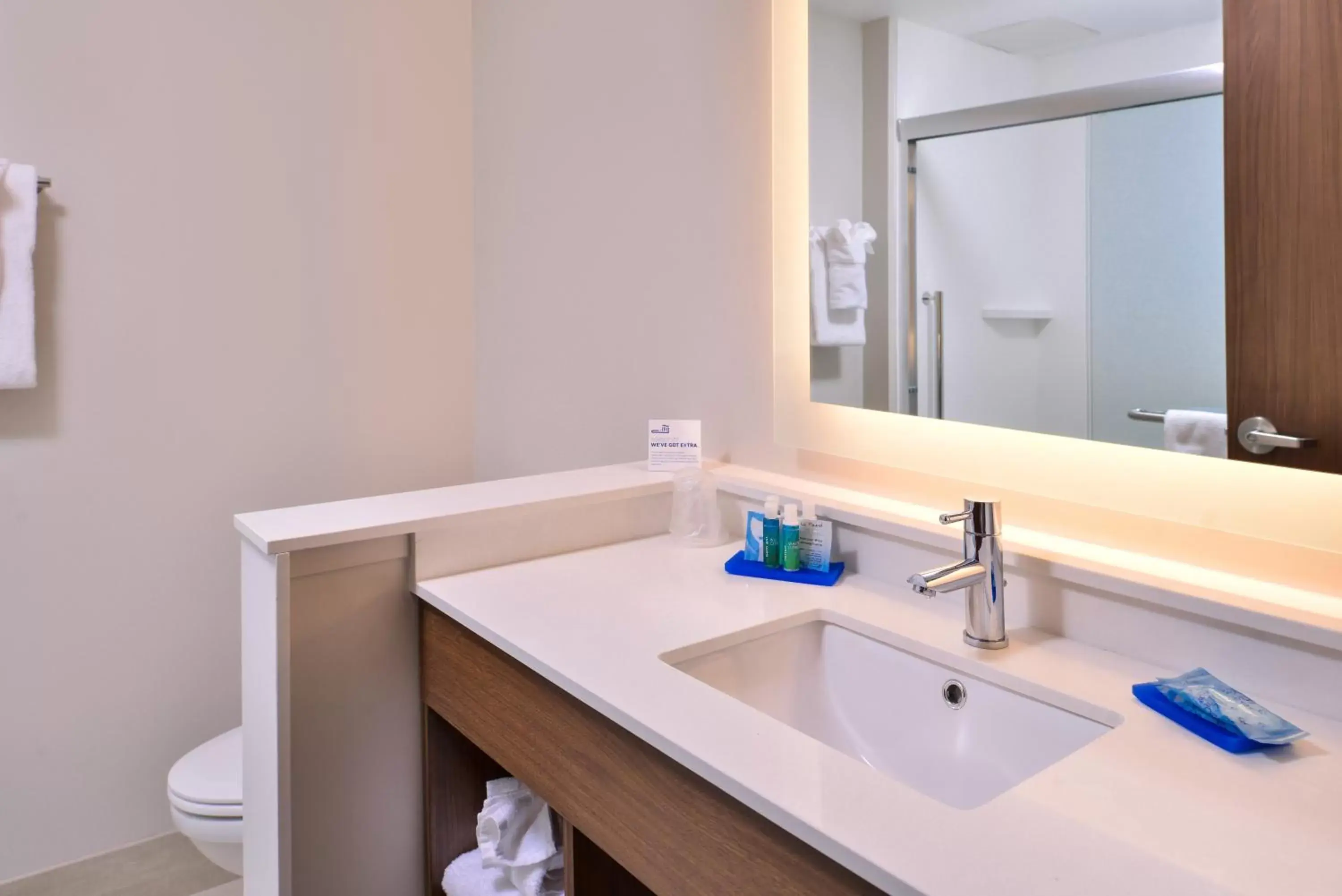 Bathroom in Holiday Inn Express & Suites Farmville, an IHG Hotel