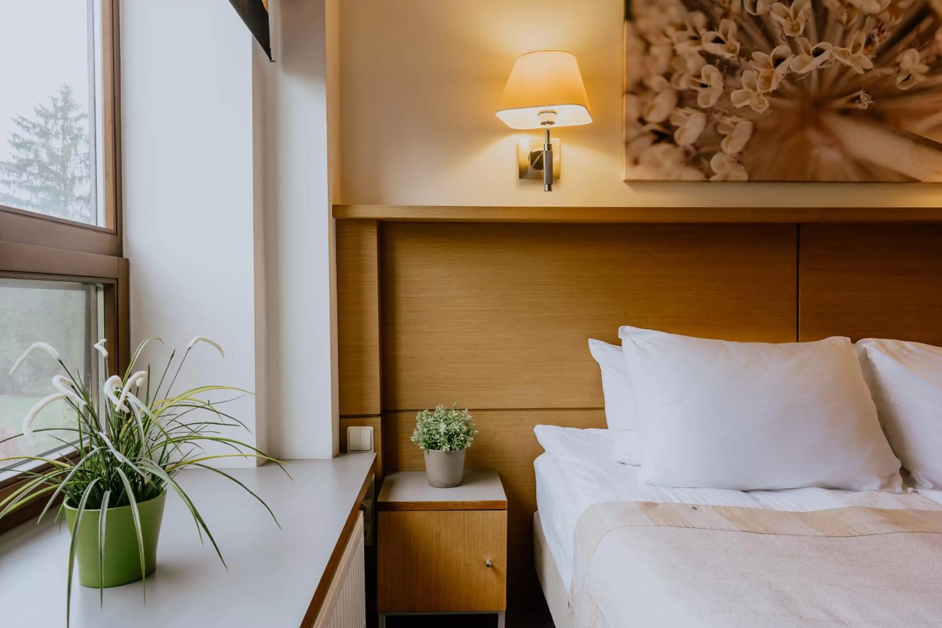 Decorative detail, Bed in De Lita