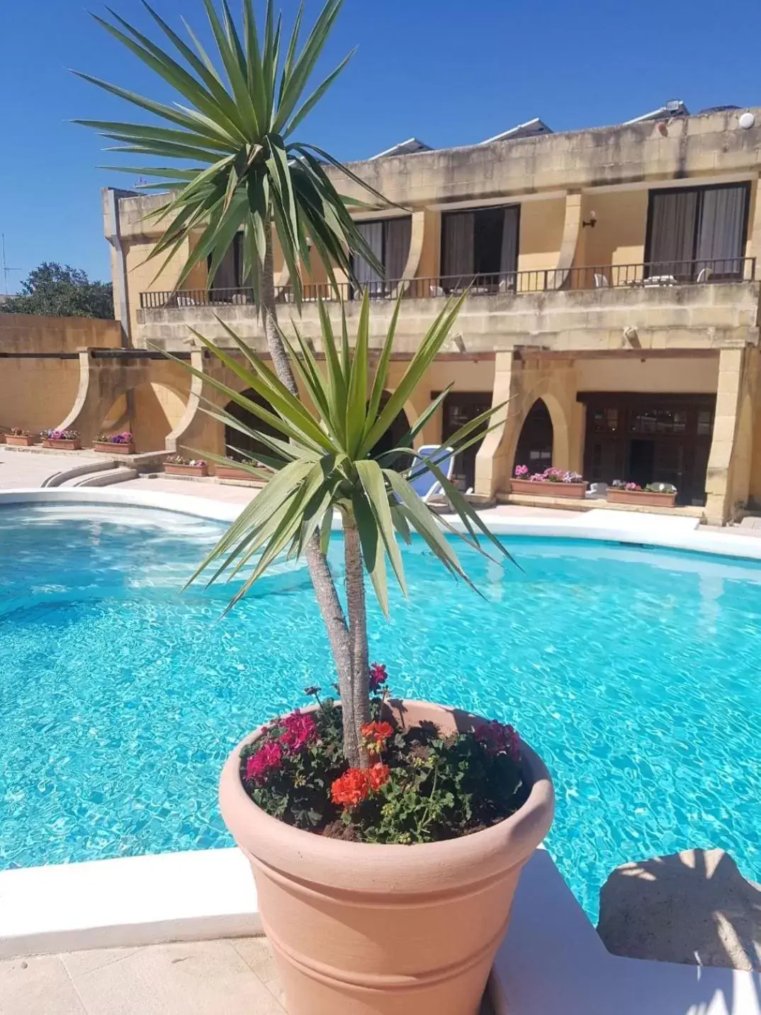 Swimming Pool in Cornucopia Hotel