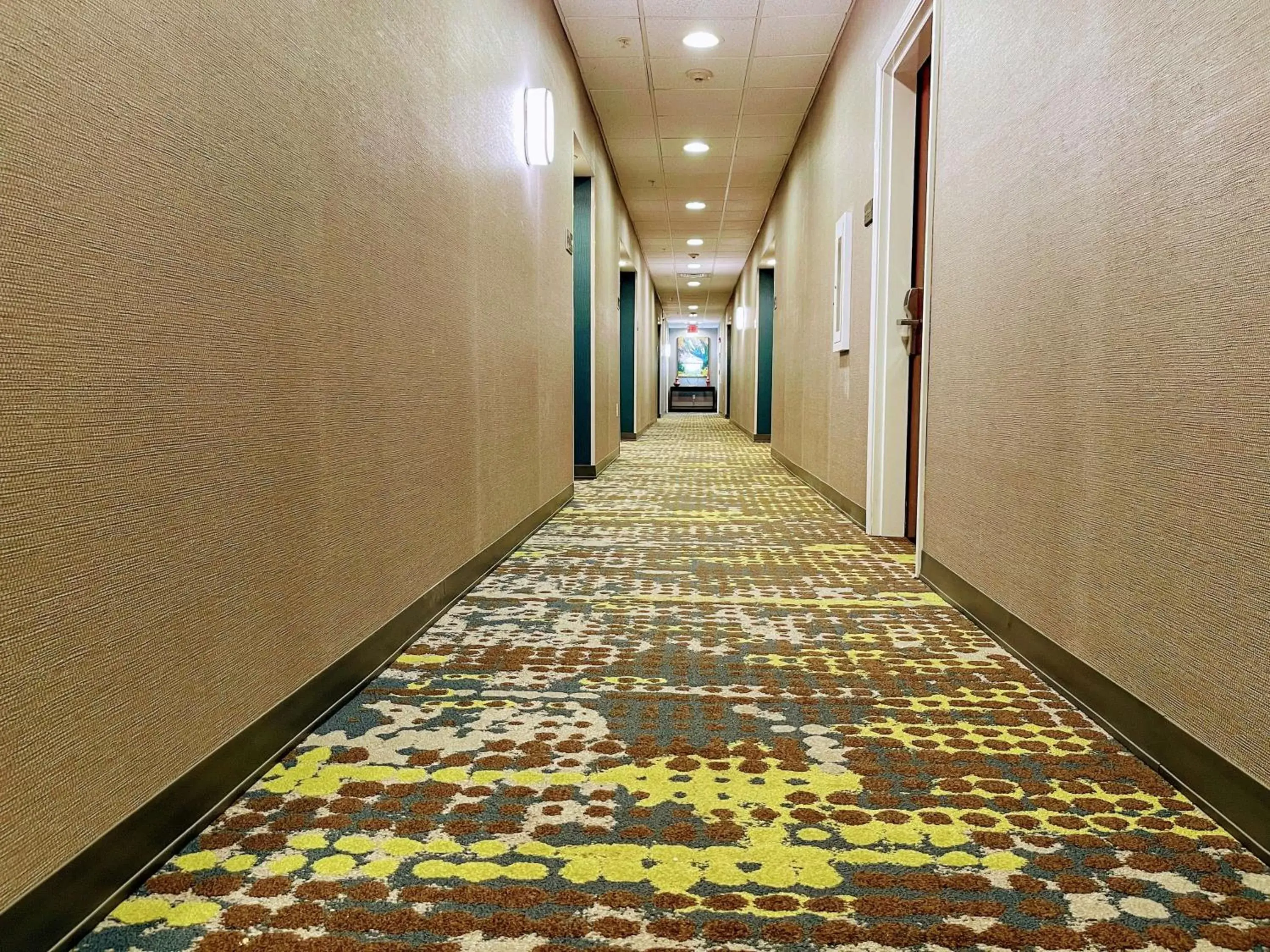 Photo of the whole room in Hampton Inn & Suites Pensacola I-10 N at University Town Plaza