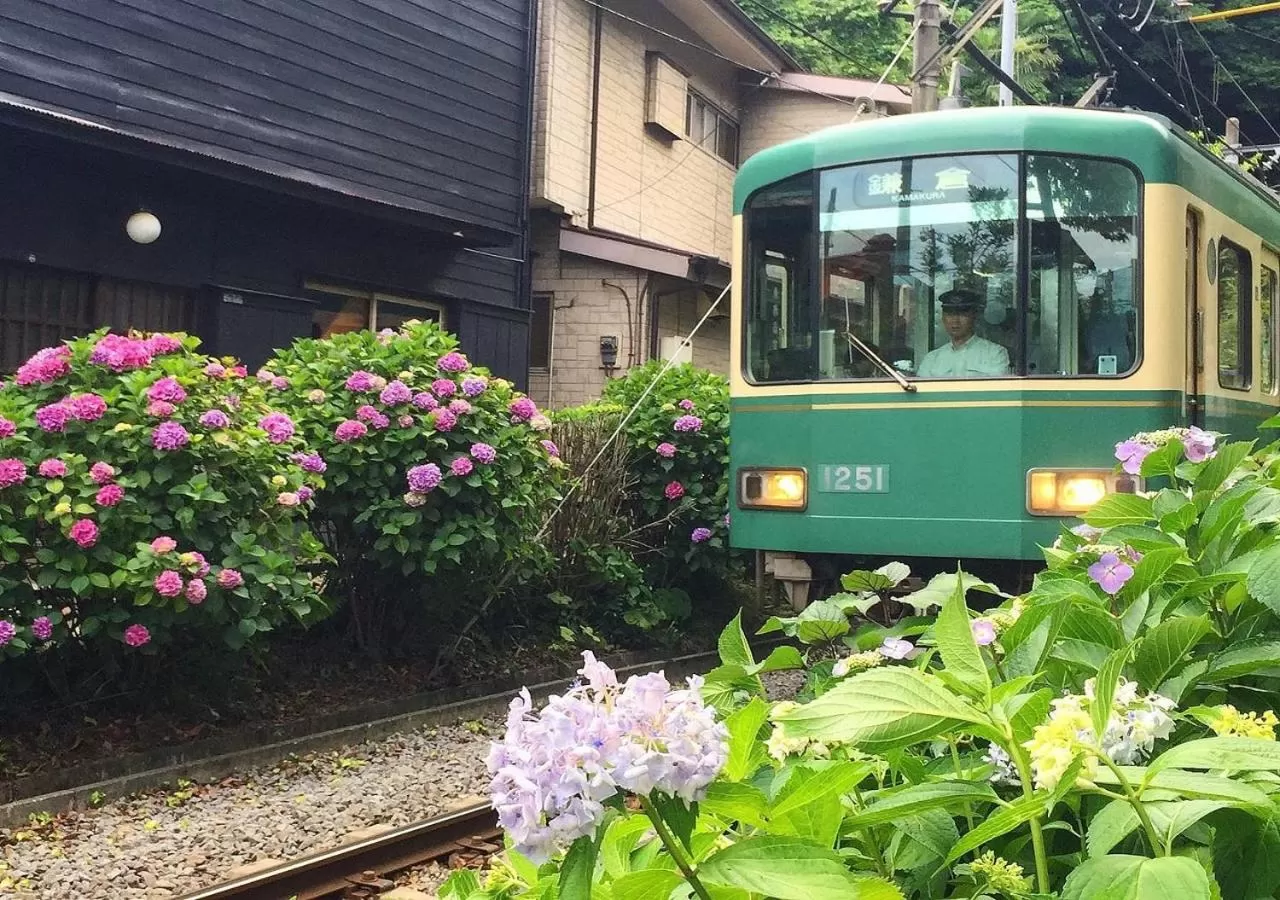 Spring in WeBase KAMAKURA