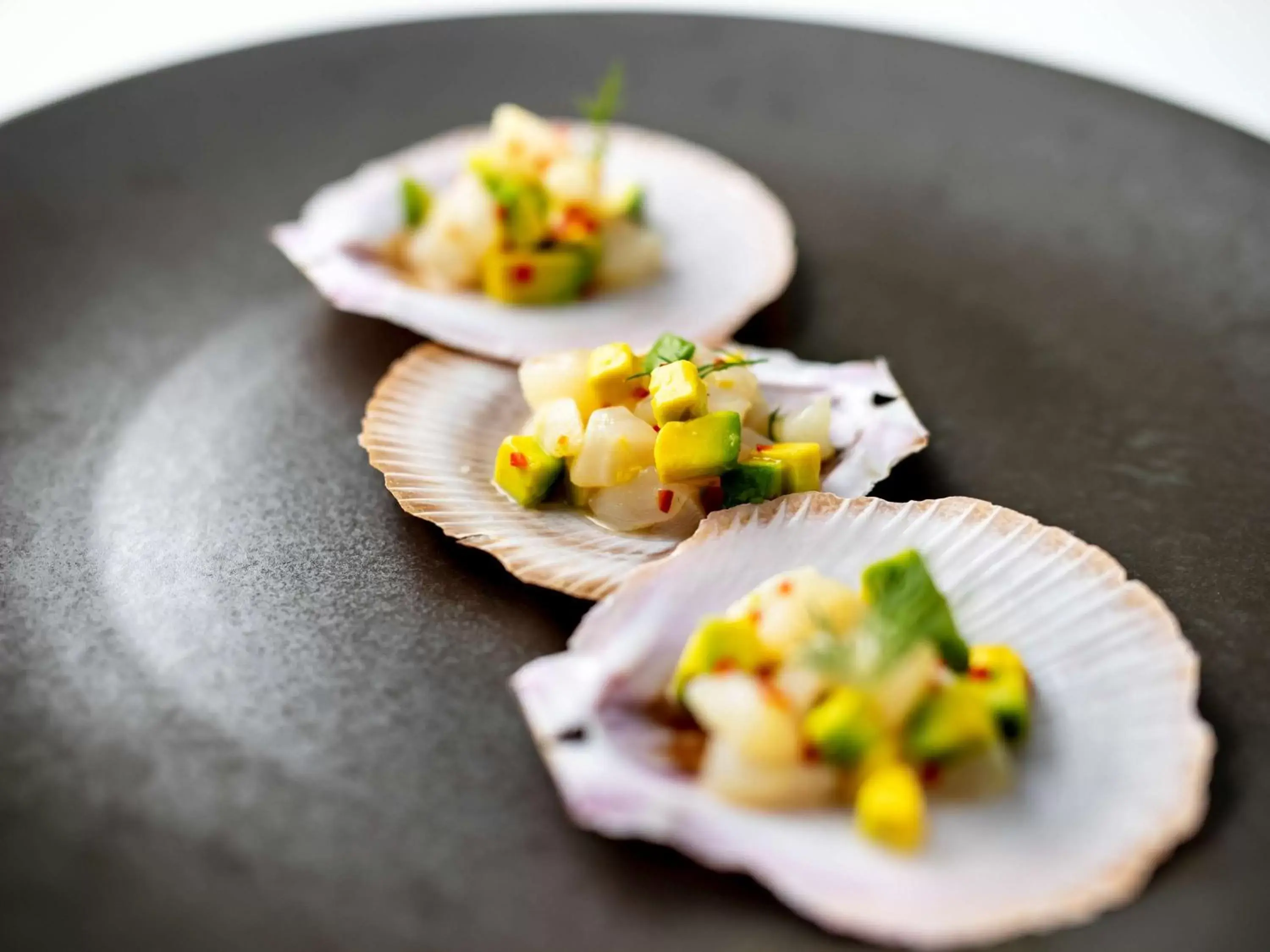 Restaurant/places to eat in Sofitel Noosa Pacific Resort Restaurant/places to eat in Sofitel Noosa Pacific Resort