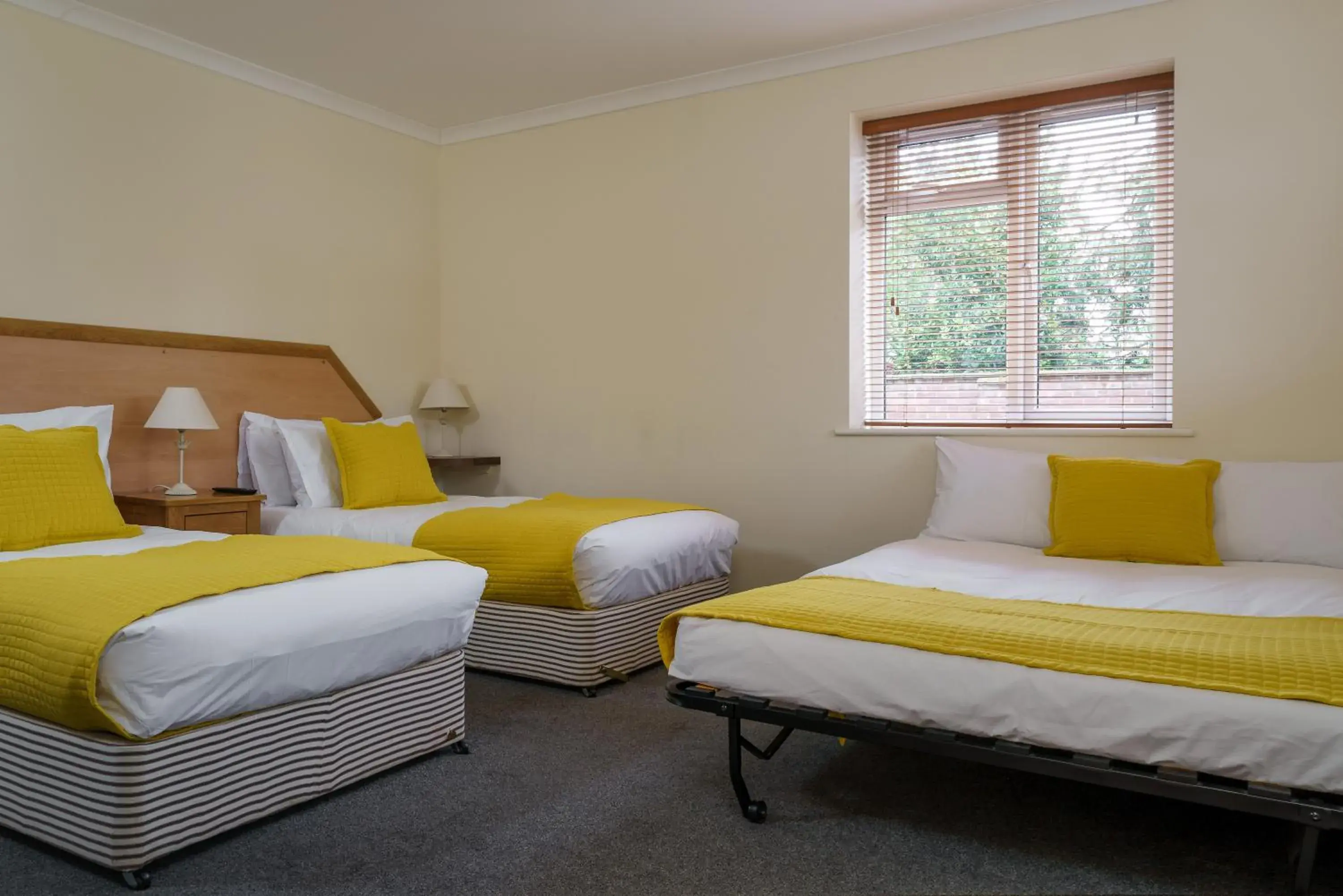 Triple Room with Private Bathroom - single occupancy in St Andrews Hotel