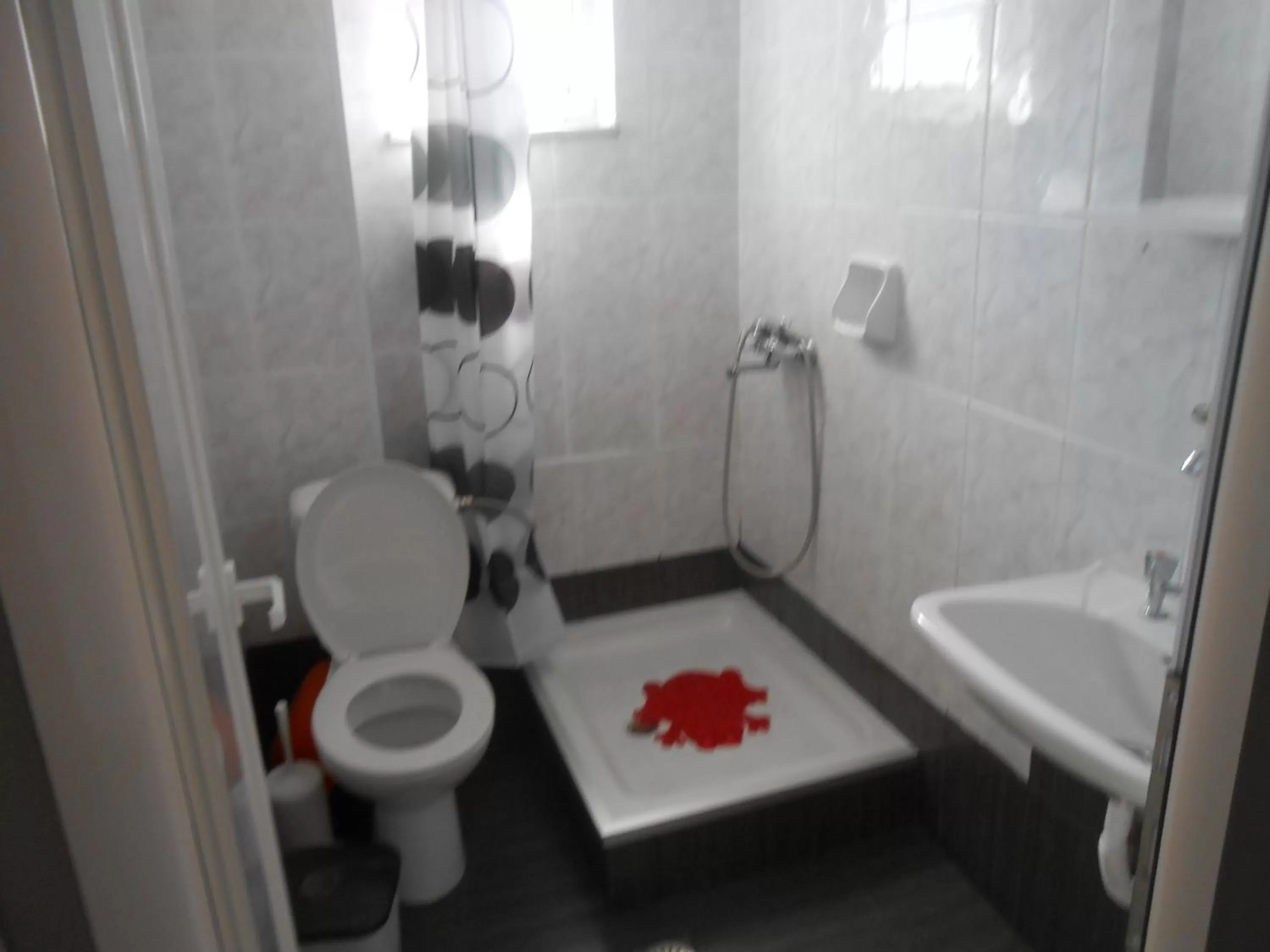 Shower, Bathroom in Hotel Germany