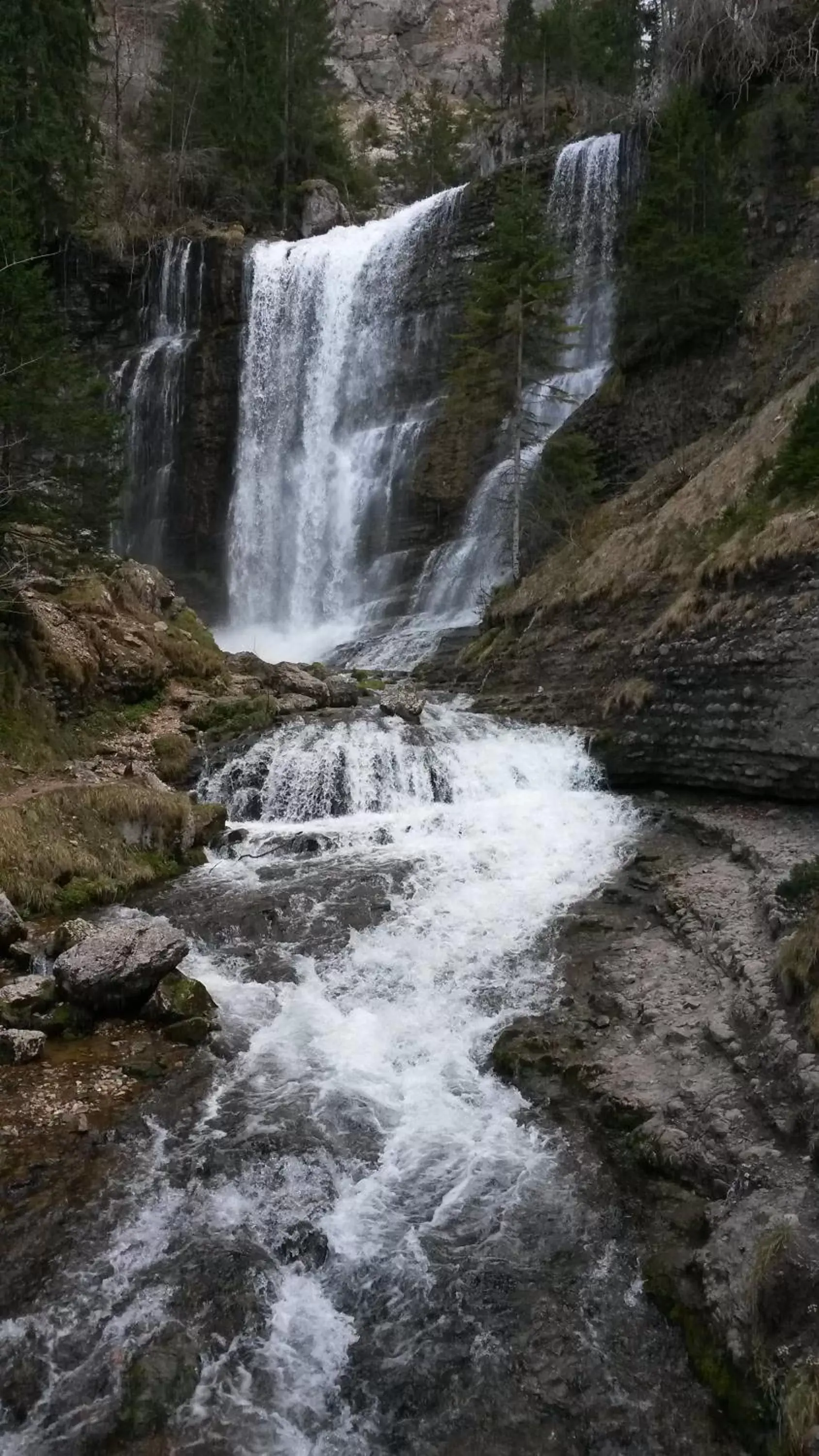 Natural Landscape in Les Tilleuls