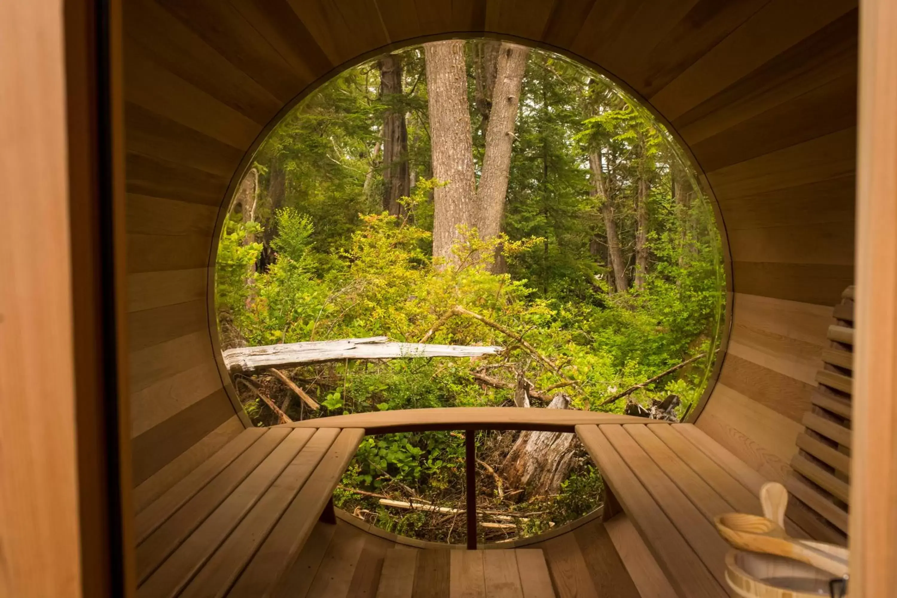 Sauna in Hotel Zed Tofino