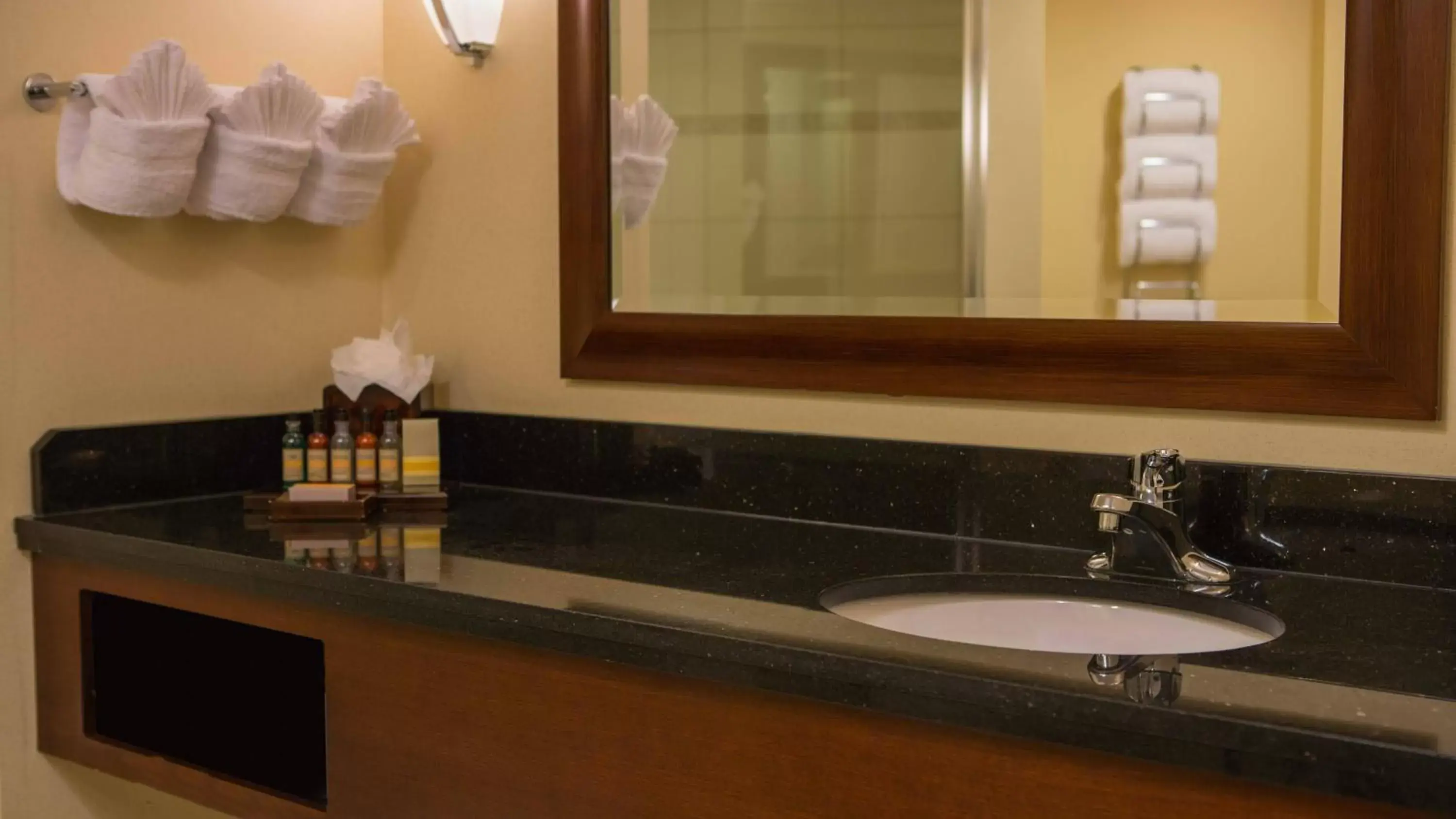 Bathroom in Baltimore Marriott Inner Harbor at Camden Yards