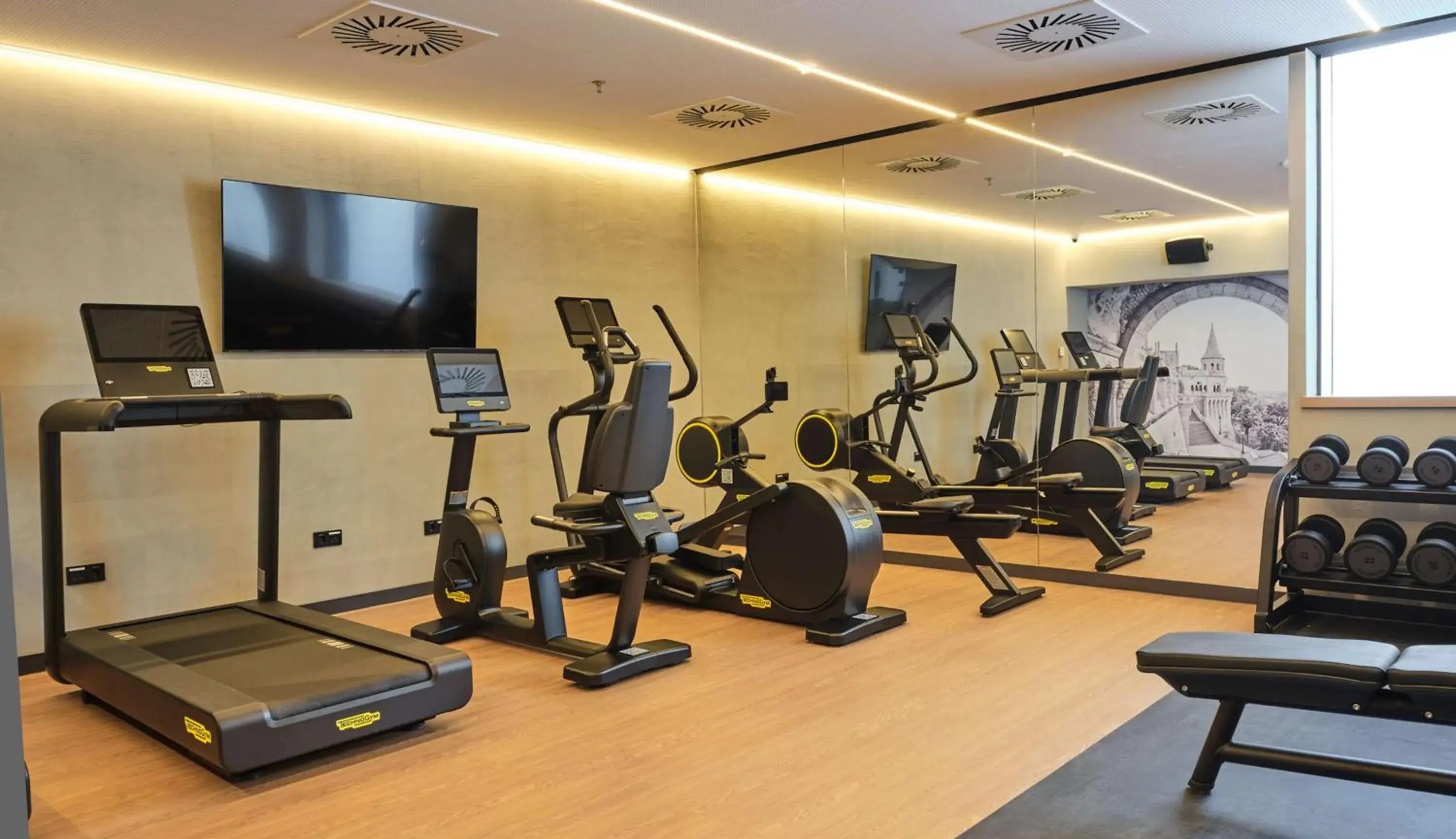 Fitness centre/facilities, Fitness Center/Facilities in Radisson Hotel Budapest BudaPart