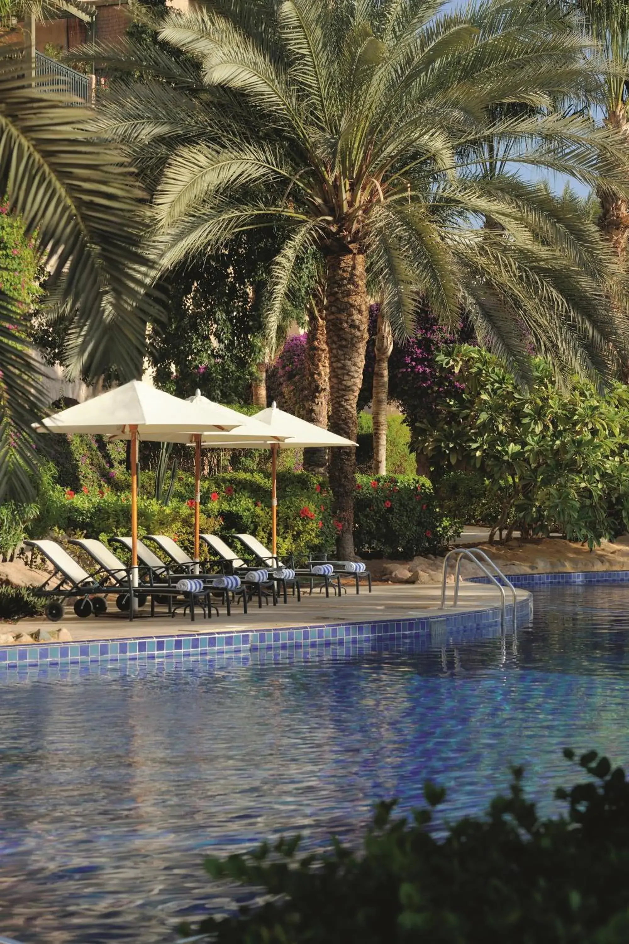 Spring, Swimming Pool in Movenpick Resort & Residences Aqaba