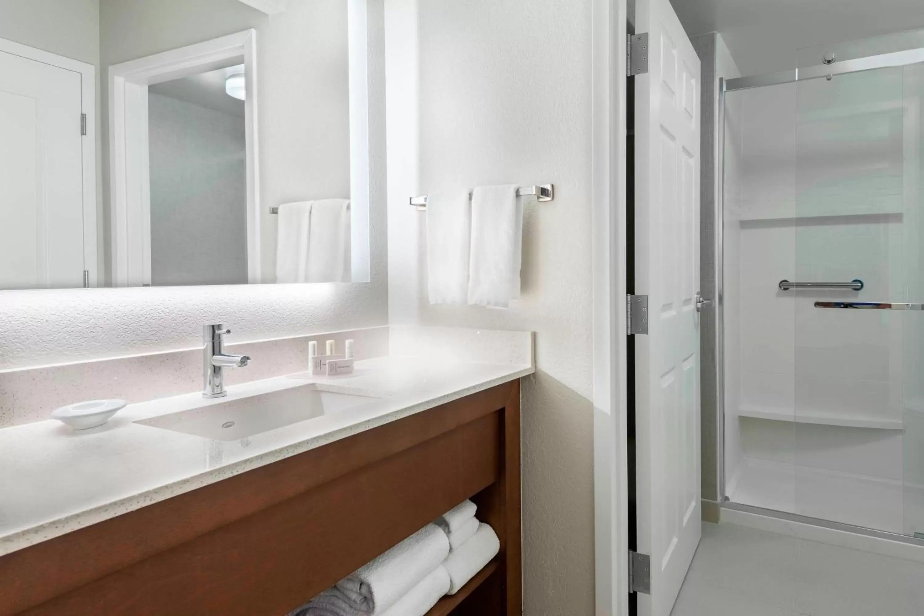 Bathroom in Residence Inn by Marriott Tampa at USF/Medical Center