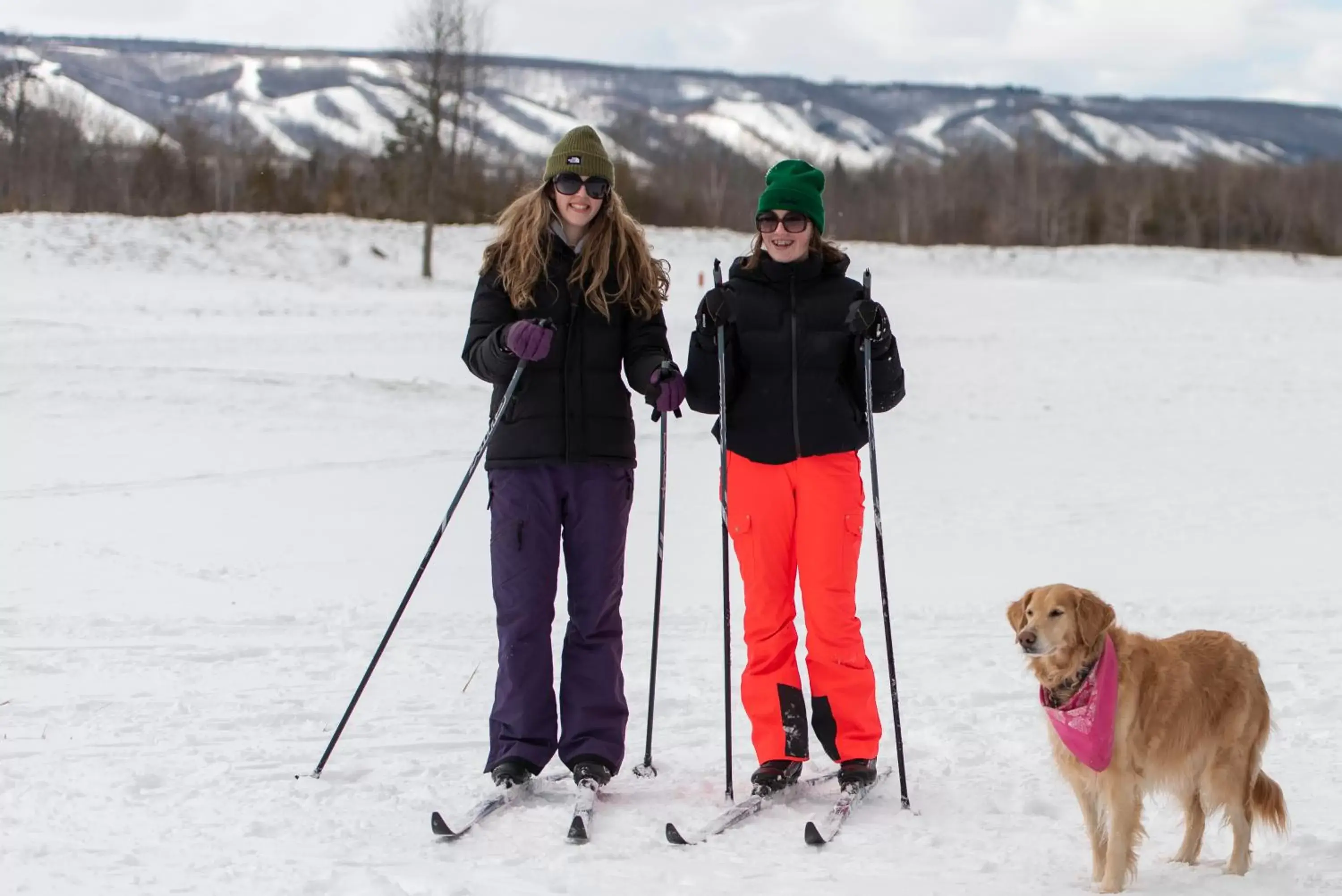 Skiing, Winter in Living Water Resort & Spa