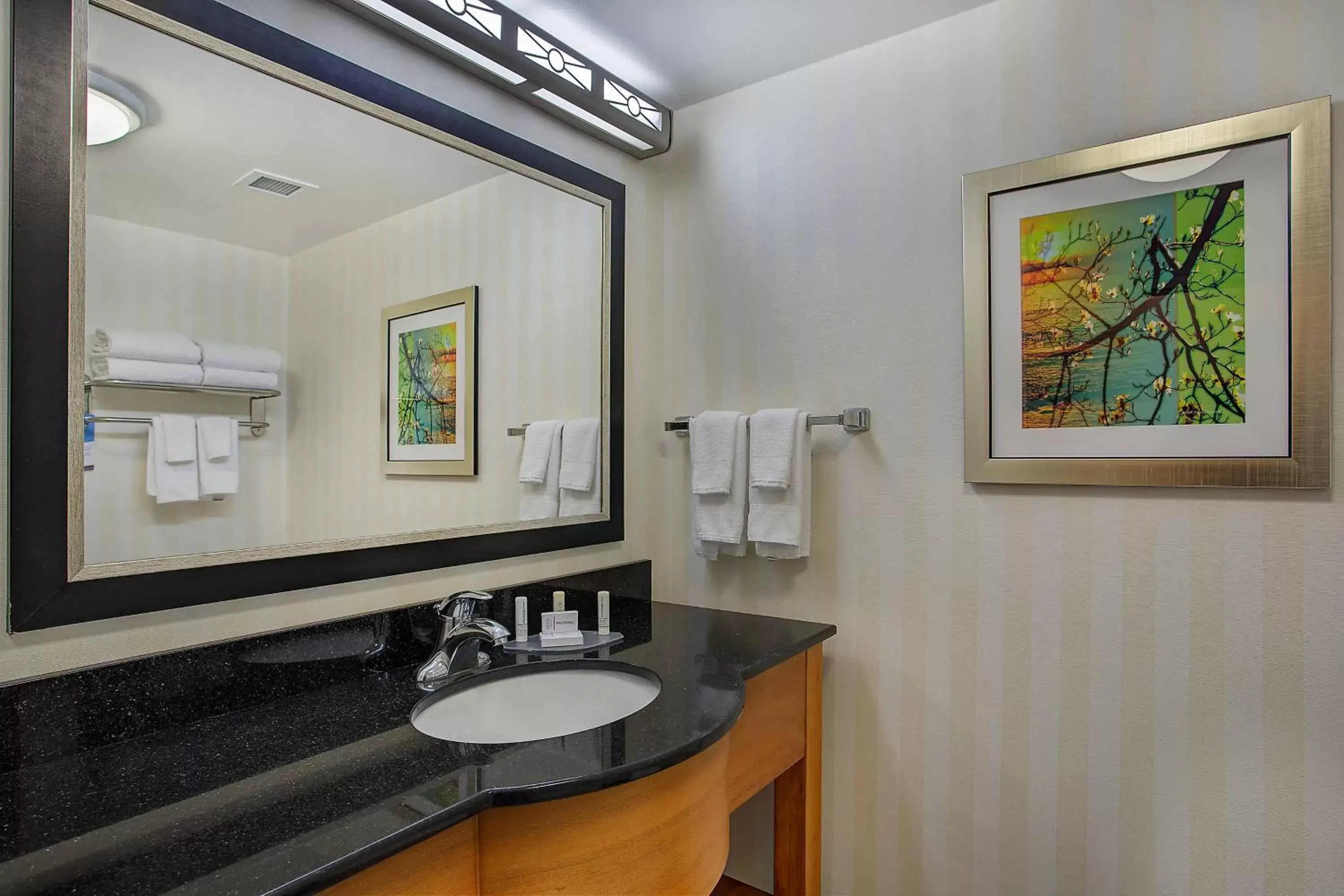 Bathroom in Fairfield Inn & Suites Kodak