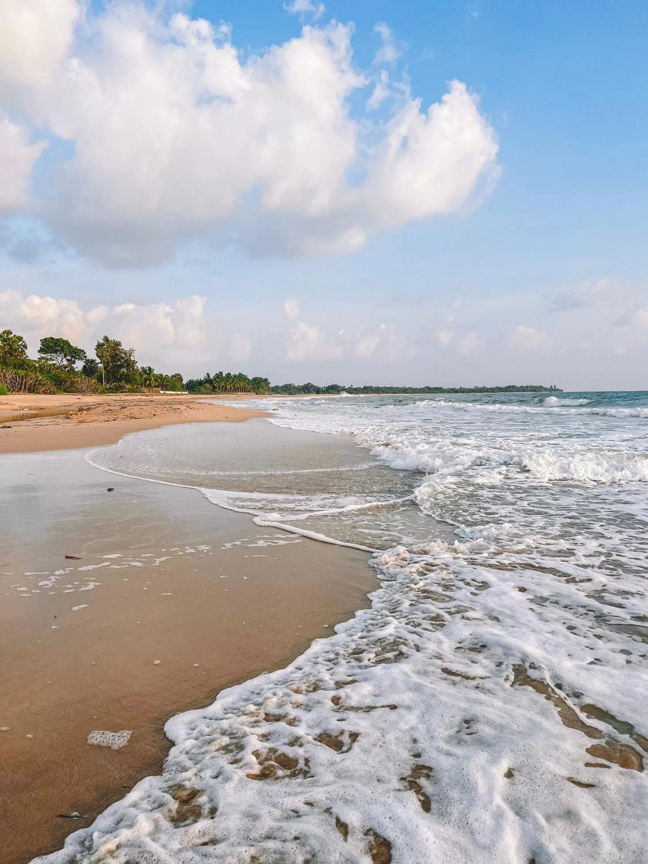 Natural landscape, Beach in 108 Palms Beach Resort