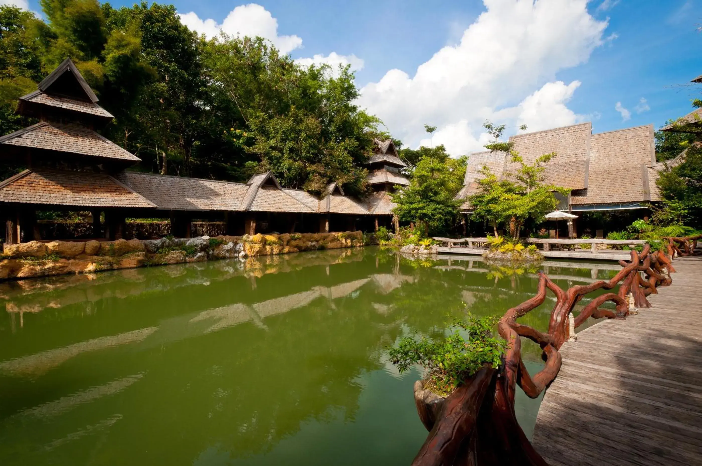Activities, Swimming Pool in Panviman Chiang Mai Spa Resort