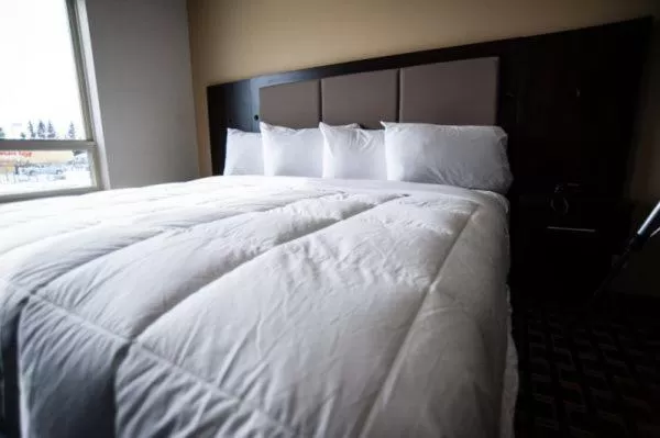 Bedroom, Bed in Western Star Inn & Suites Esterhazy