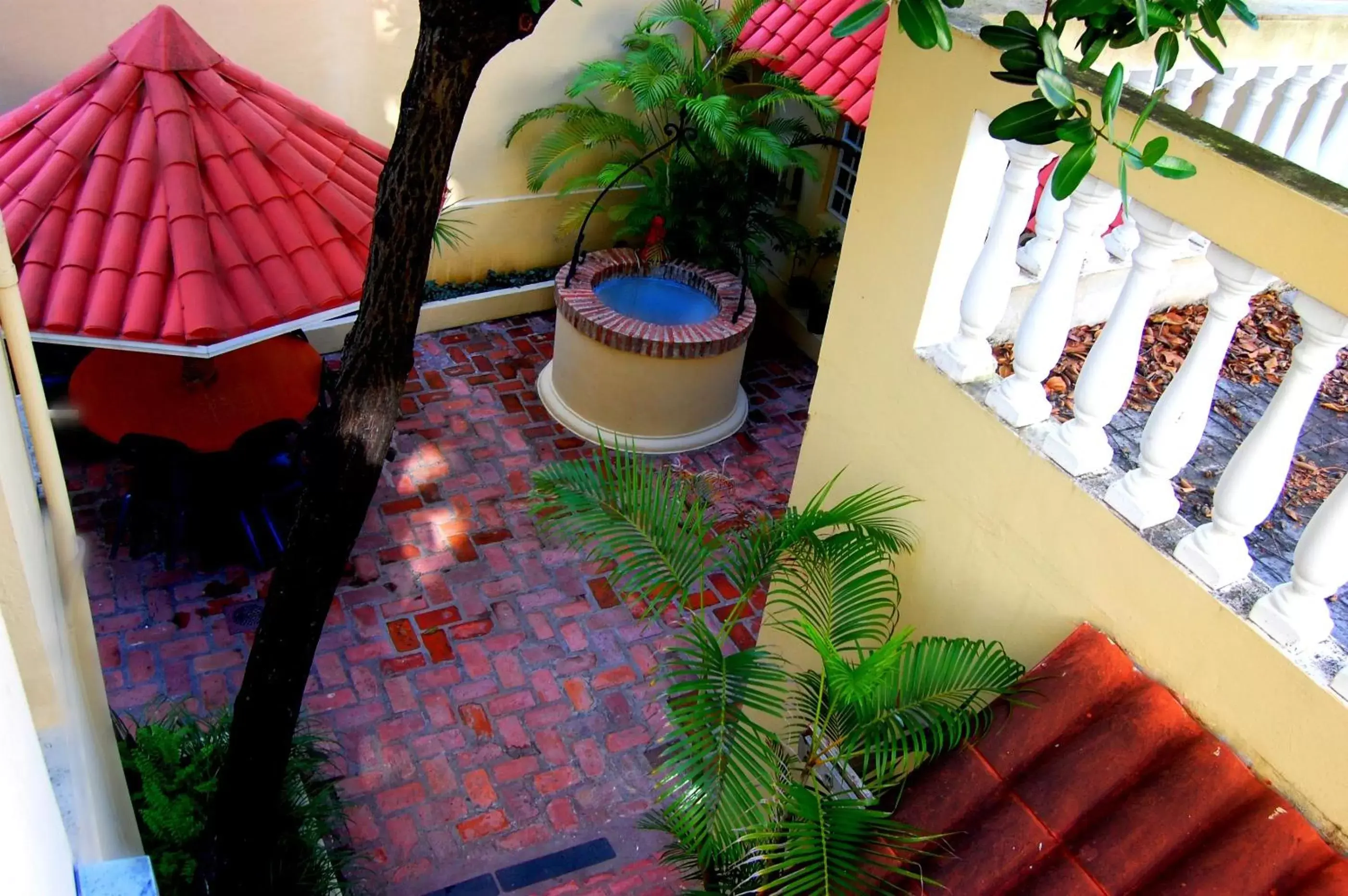 Decorative detail, Pool View in Canario Boutique Hotel