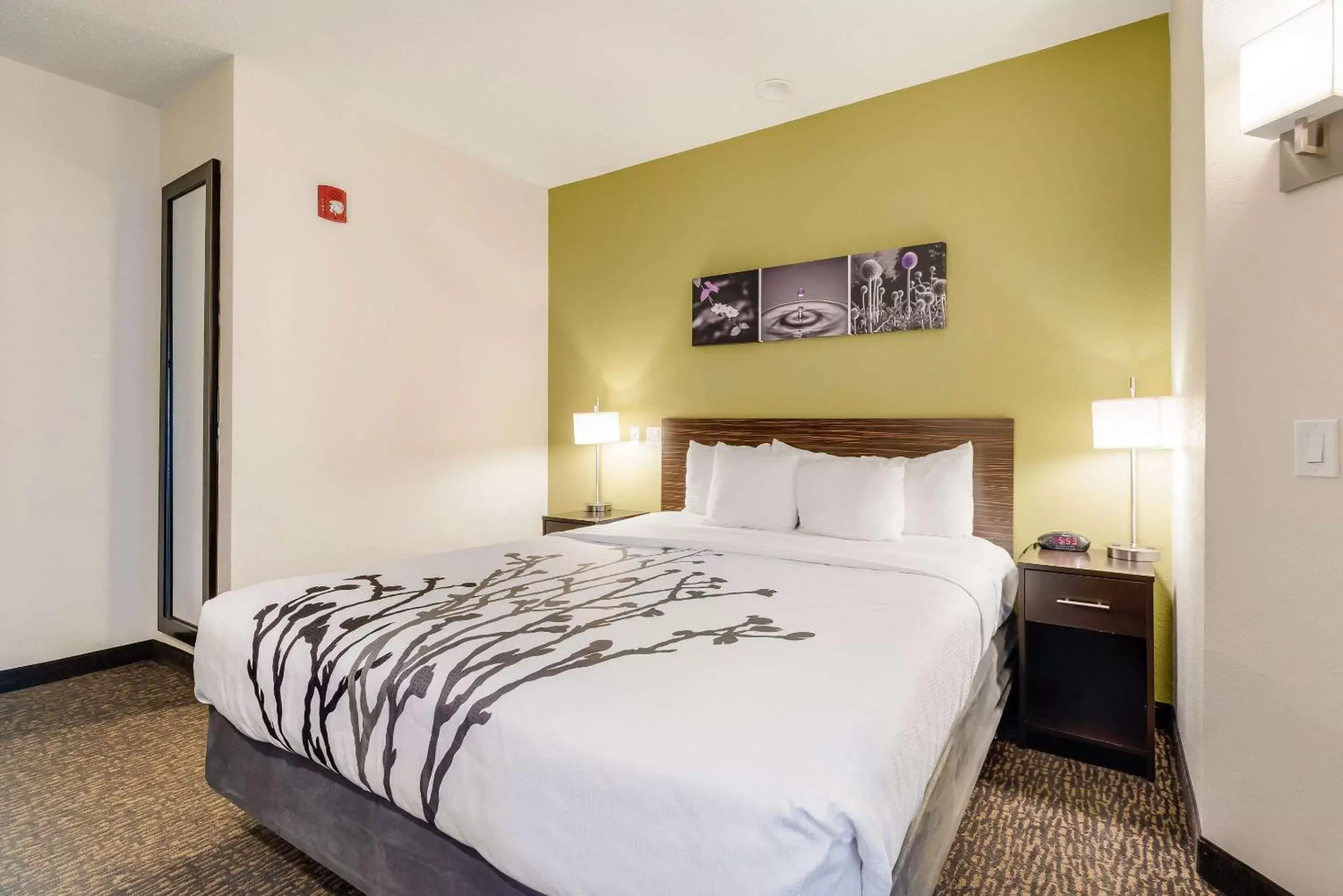 Photo of the whole room, Bed in Sleep Inn Flagstaff