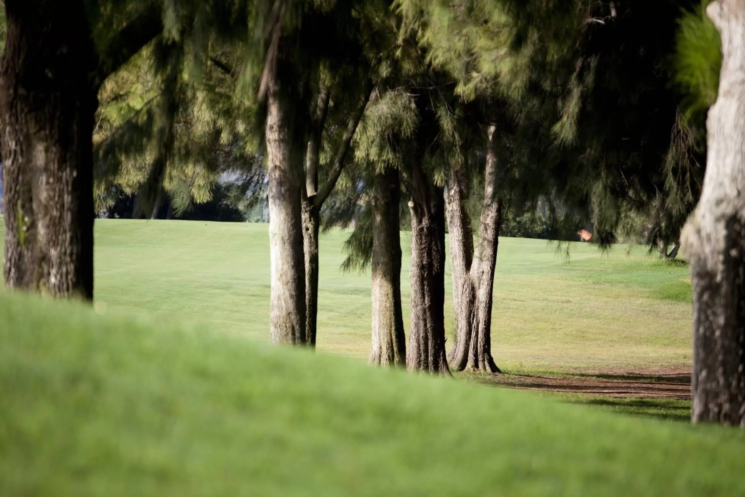 Golfcourse in Denia Marriott La Sella Golf Resort & Spa