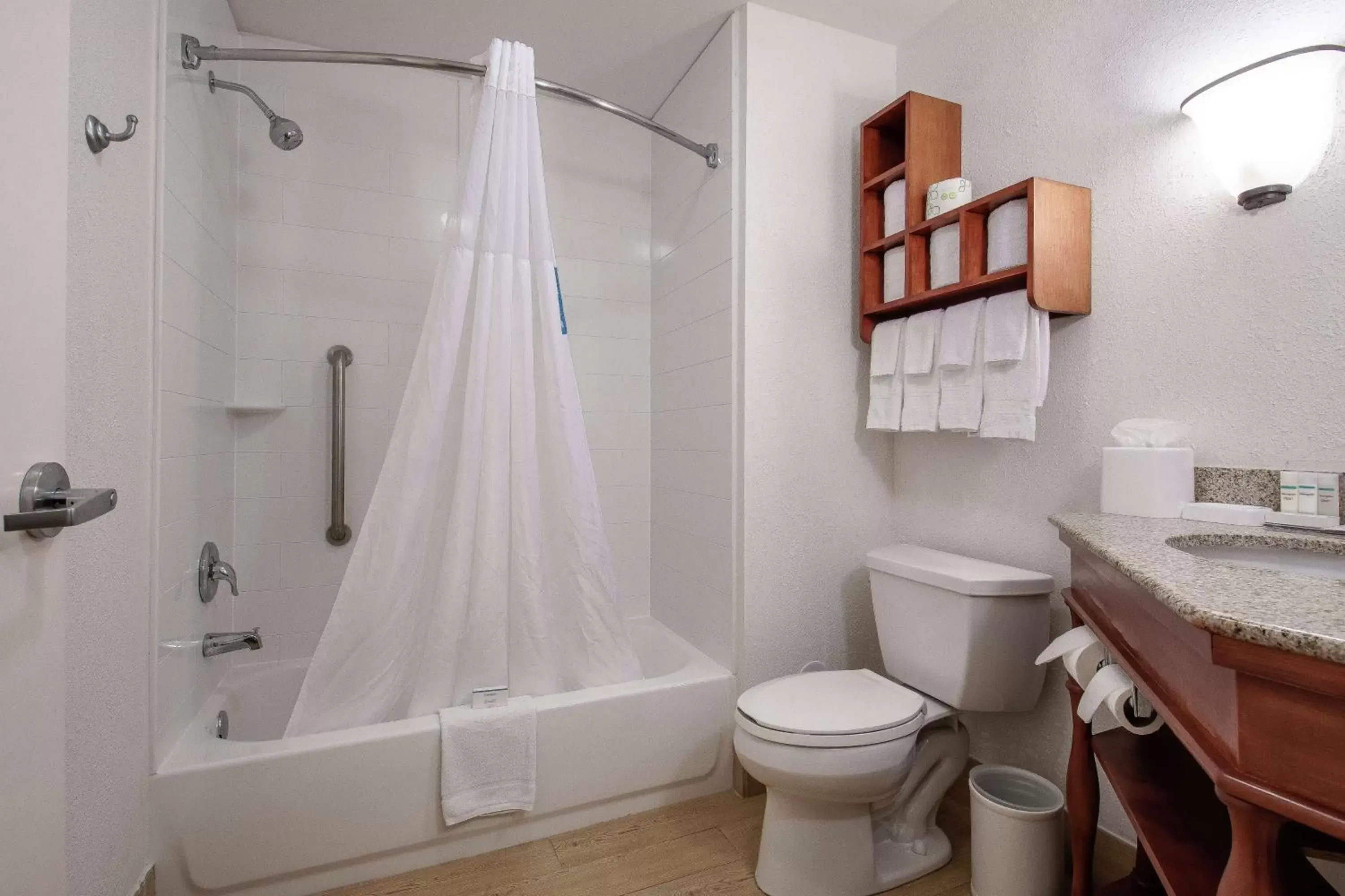 Bathroom in Hampton Inn & Suites Williamsburg-Richmond Road
