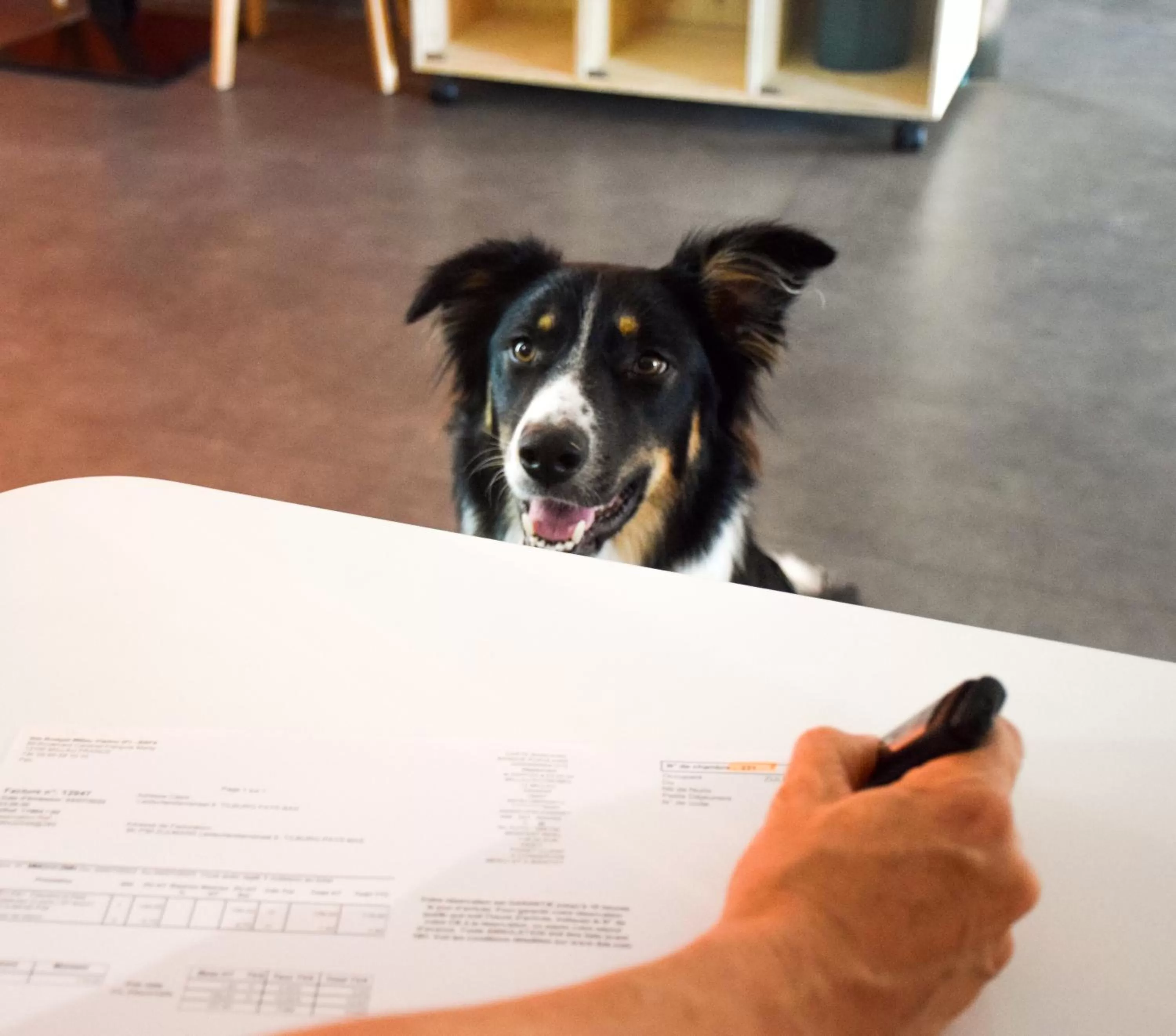 Lobby or reception in ibis Budget Millau Viaduc