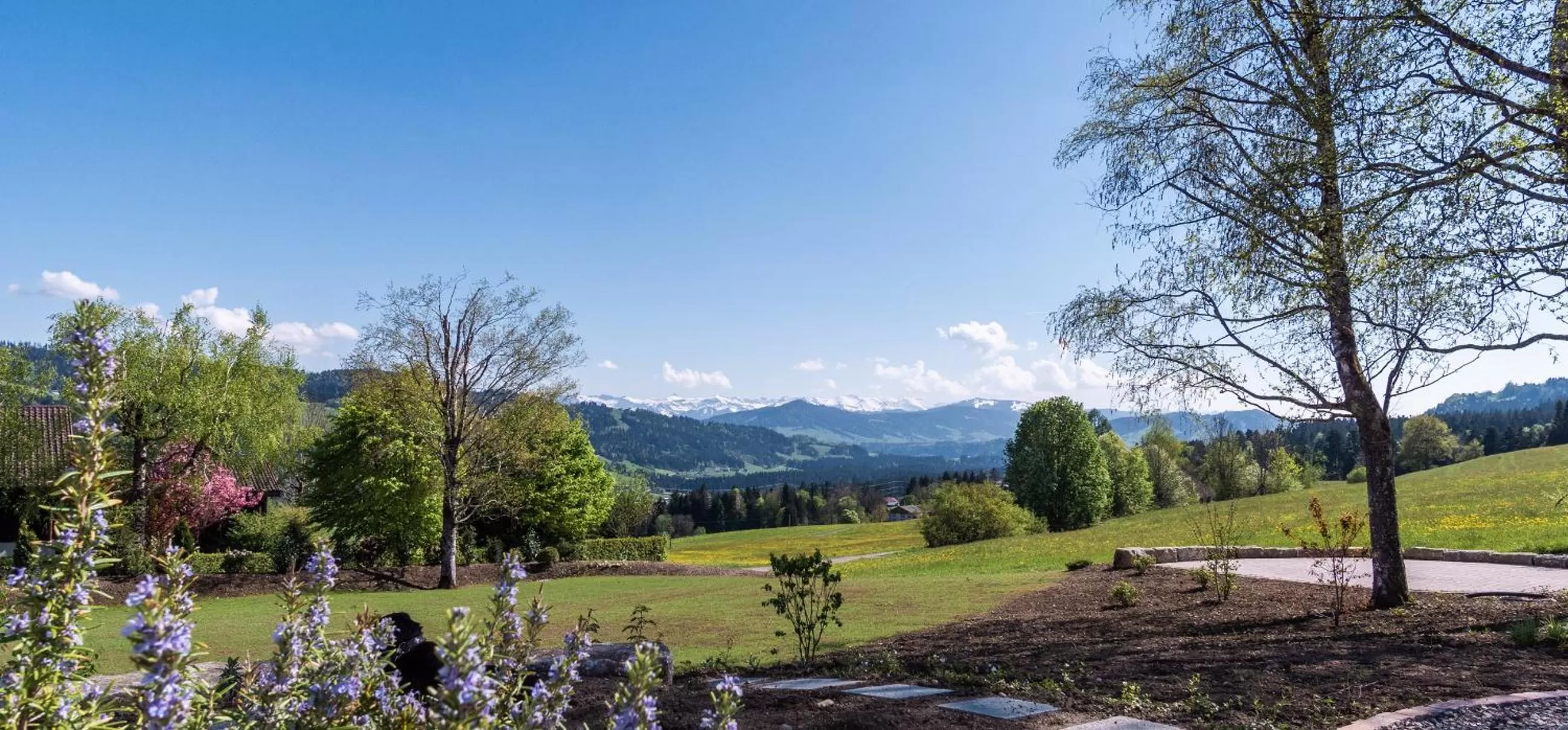 Natural landscape in Alpenloge Design Hotel